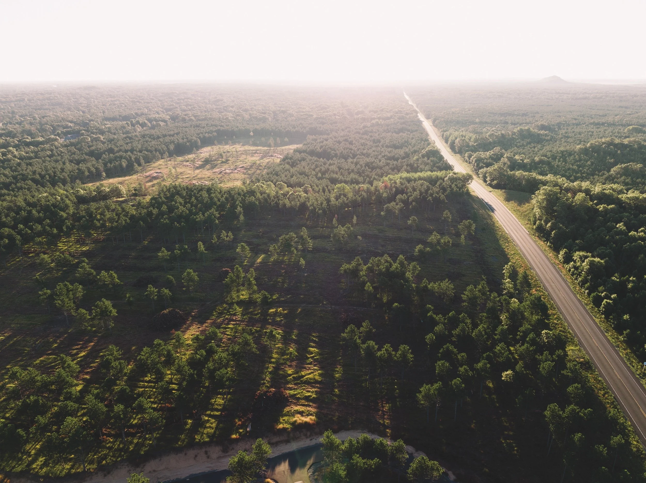 SandValleyRealEstate-Lido-Homesite-6-2.jpg