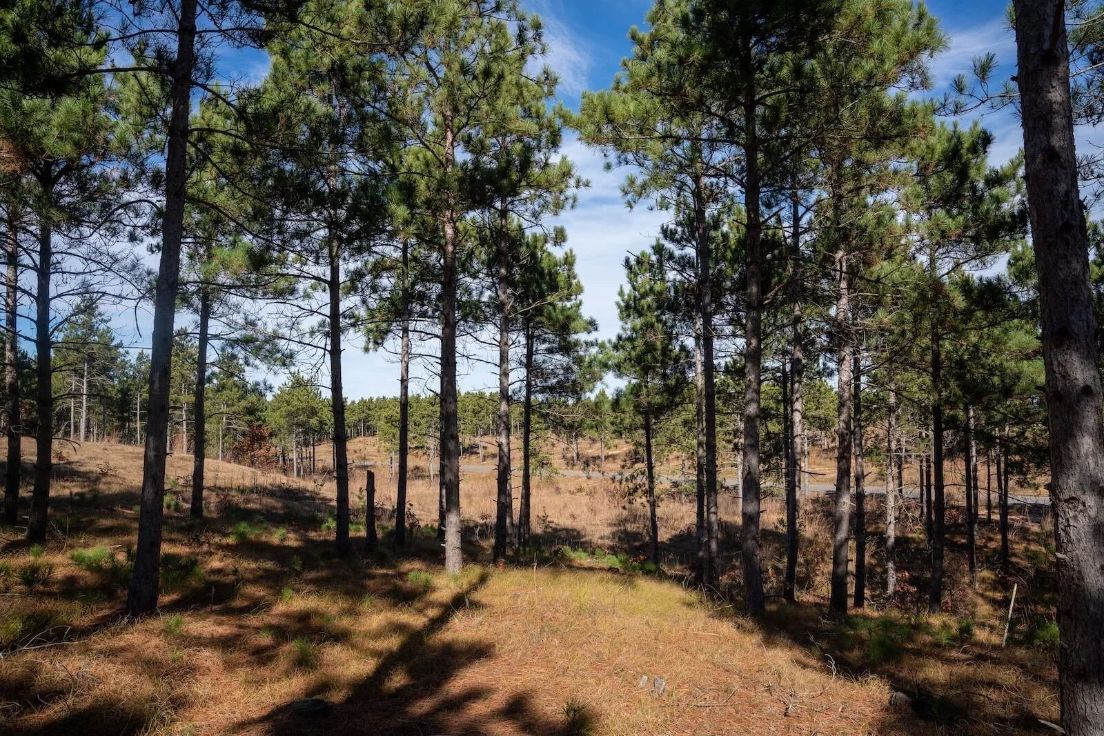 Lido Homesite 4 — $2,250,000