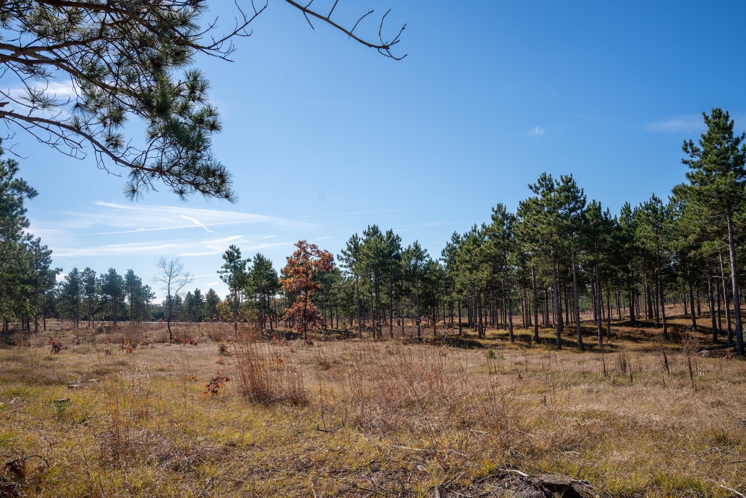 SandValleyRealEstate-Lido-Homesite-4-1.jpg