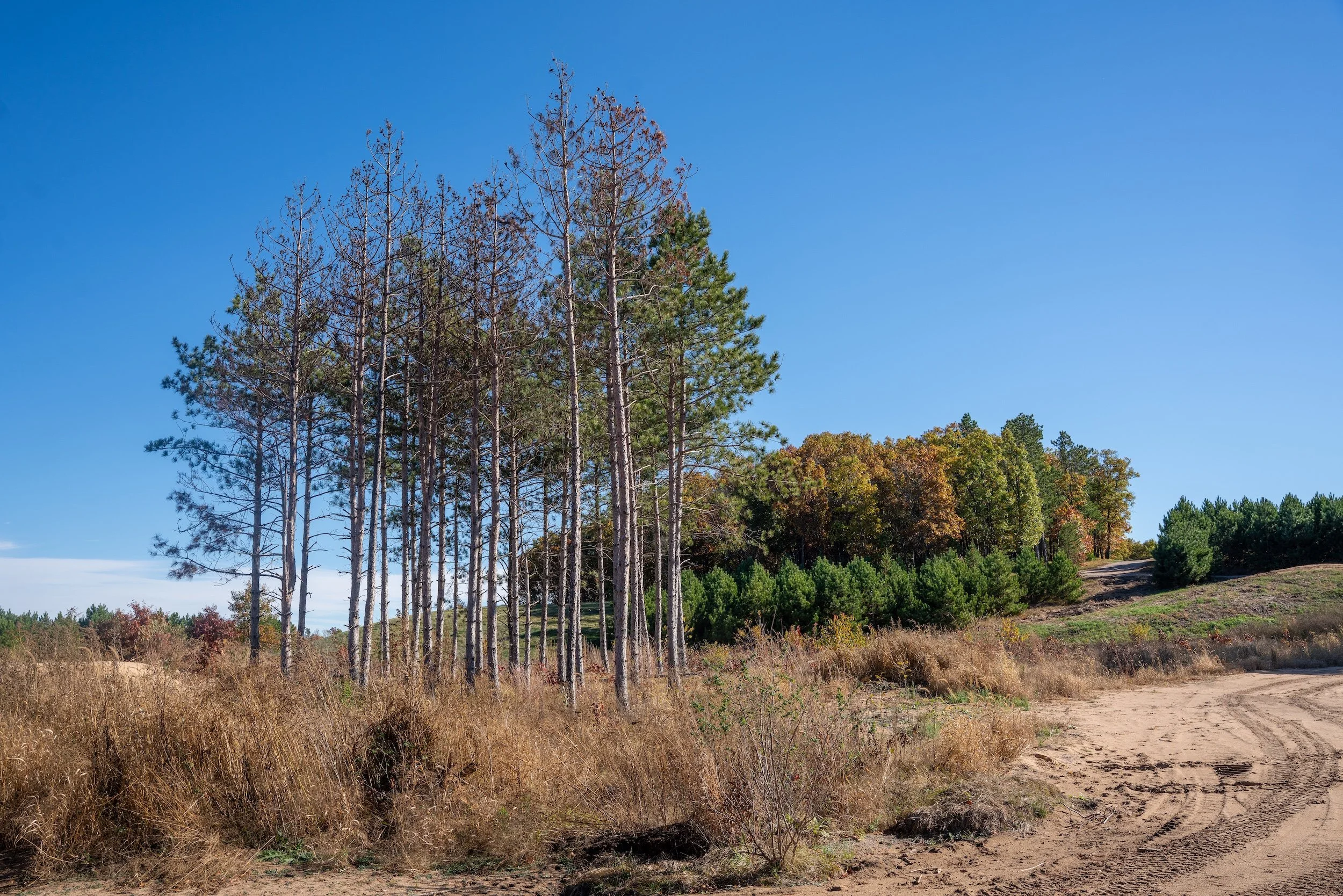 SandValleyRealEstate-Sedge-Village-Homesite-45-3.jpg