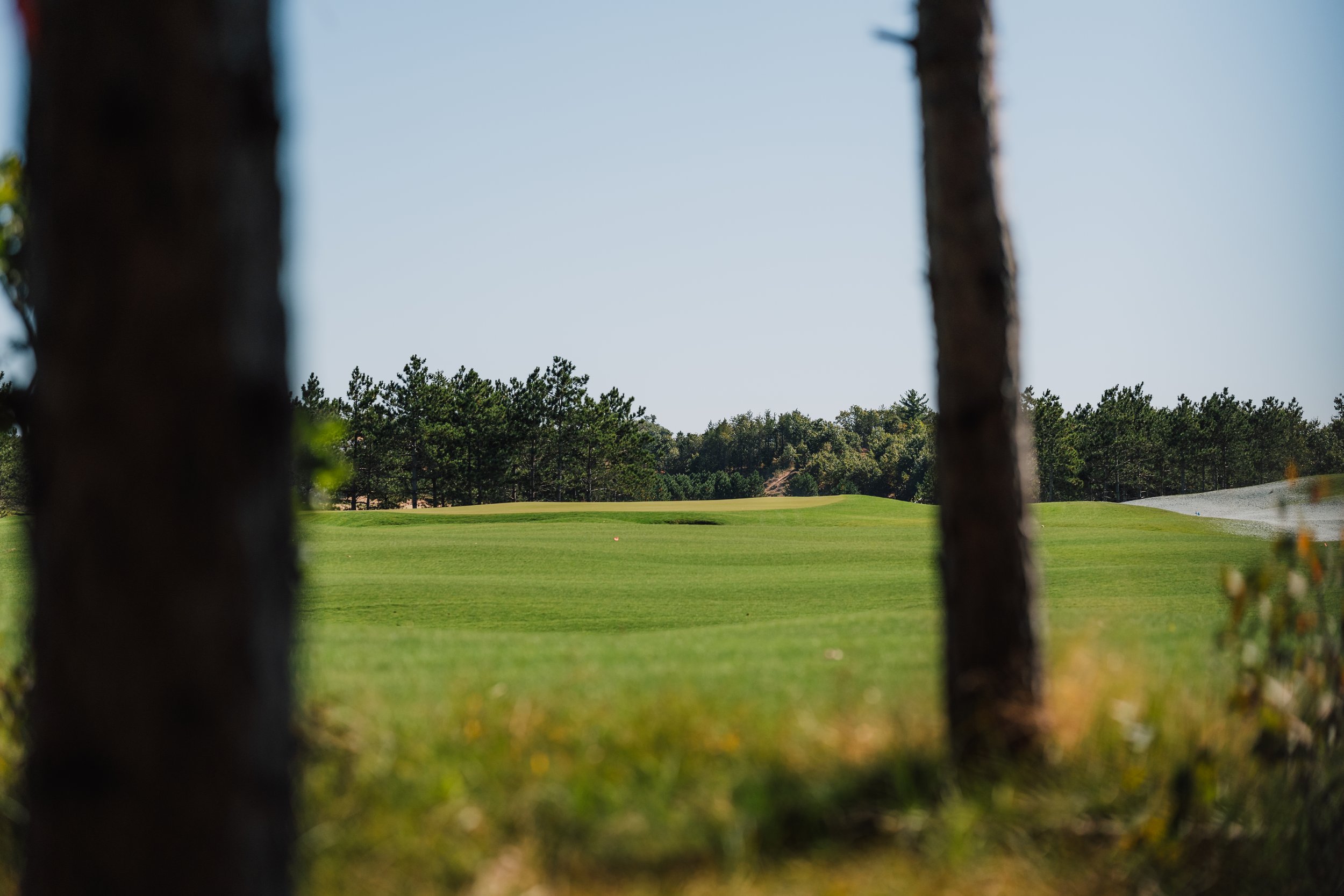 Copy of Commons Hole 1 (4).jpg