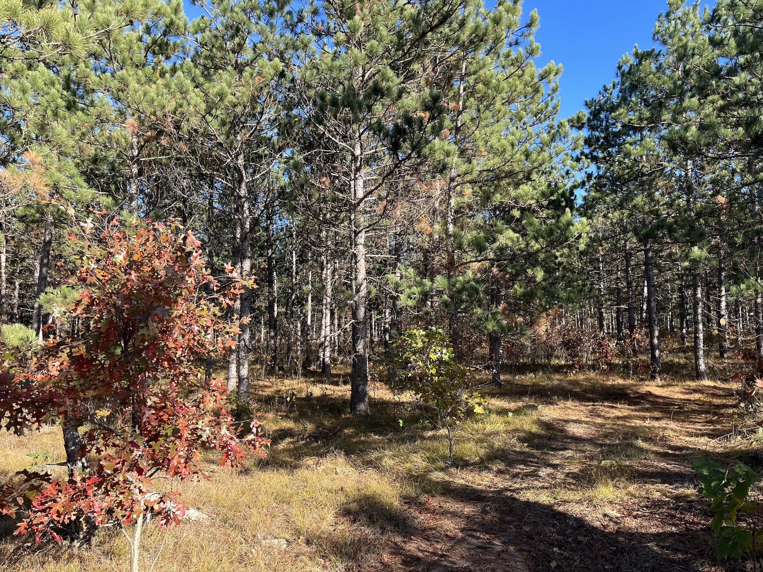 SandValleyRealEstate-Sedge-Village-Homesite-4-3.jpg