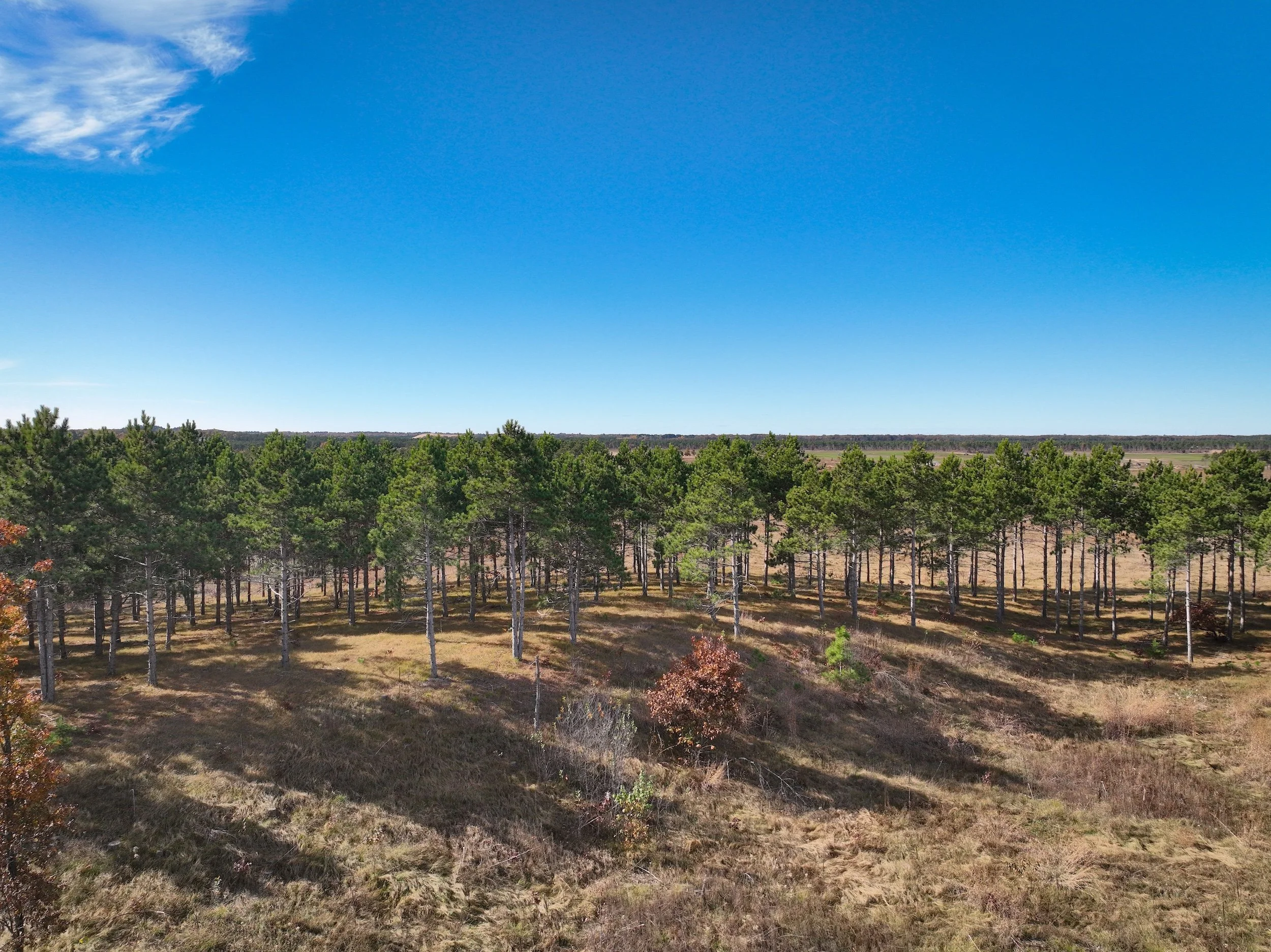 SandValleyRealEstate-Lido-Homesite-4-4.jpg