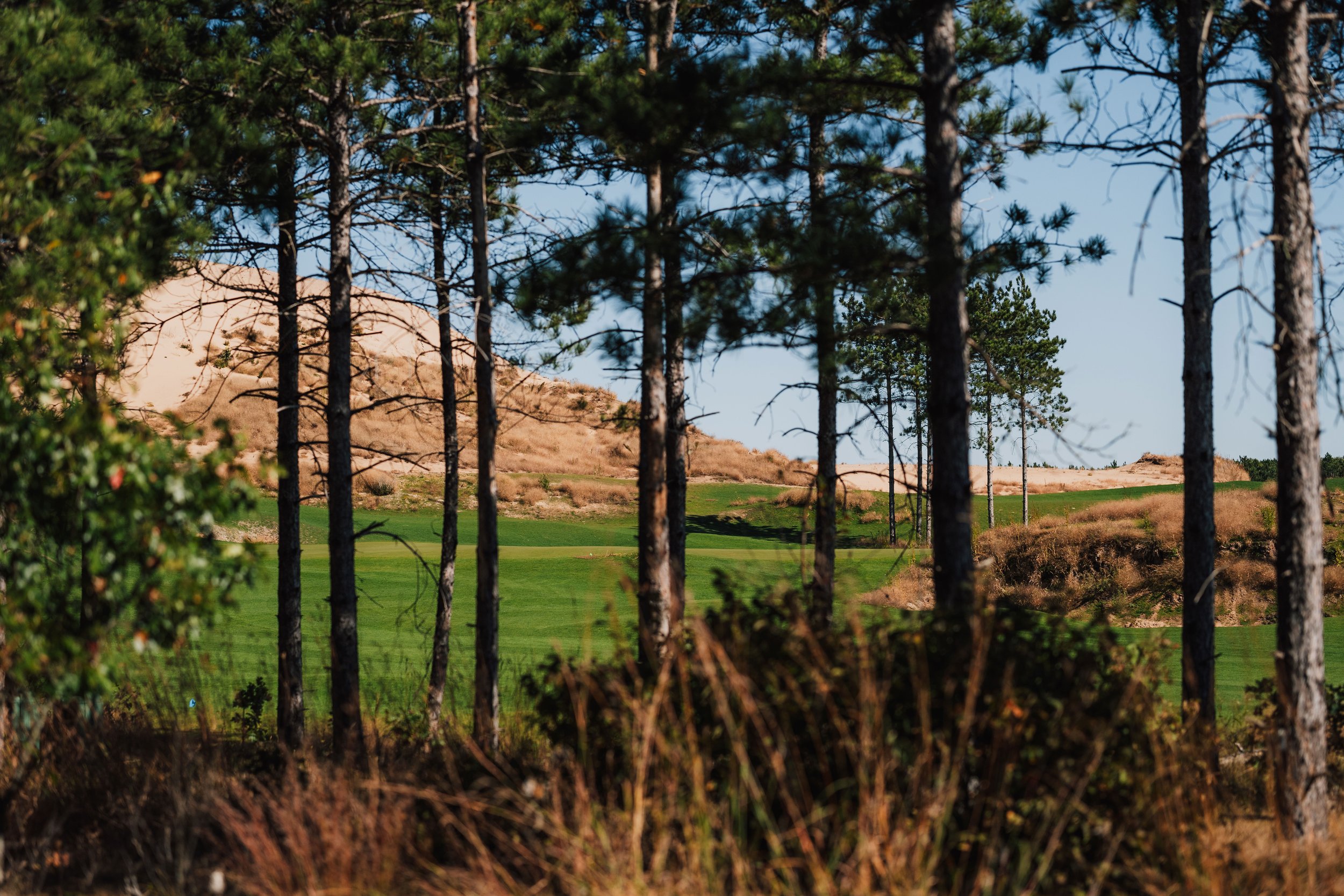 Copy-of-Commons-Hole-1.jpg