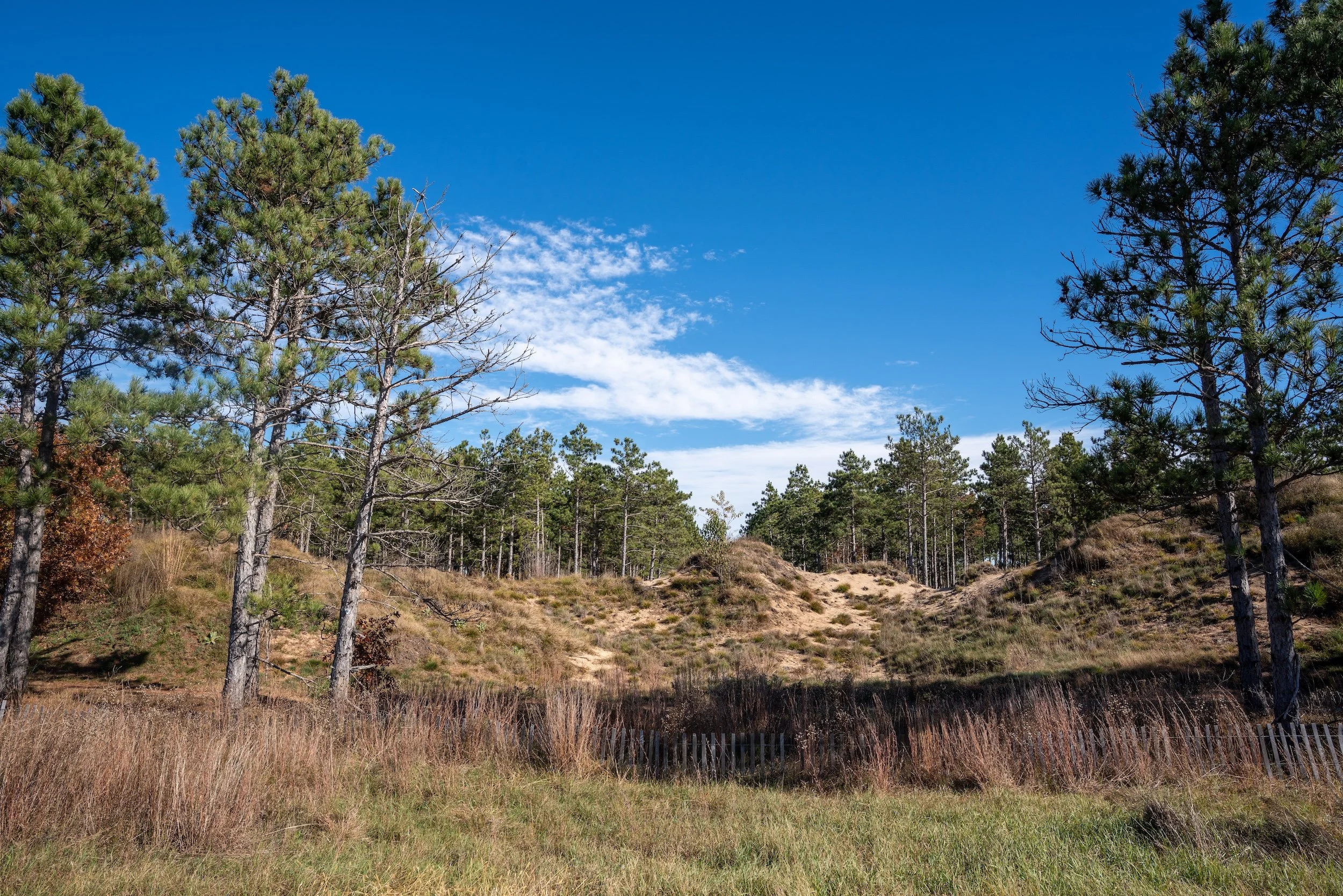 SandValleyRealEstate-Lido-Homesite-16-6.jpg