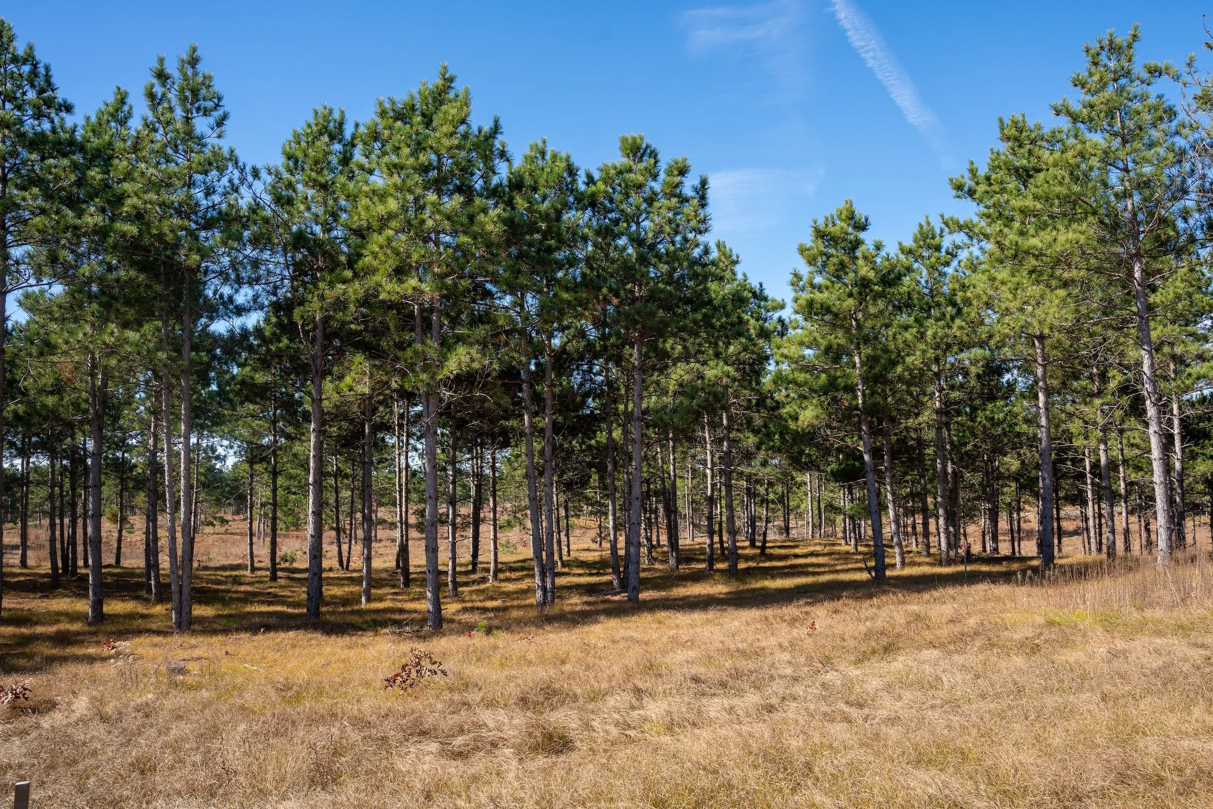 SandValleyRealEstate-Lido-Homesite-5-7.jpg