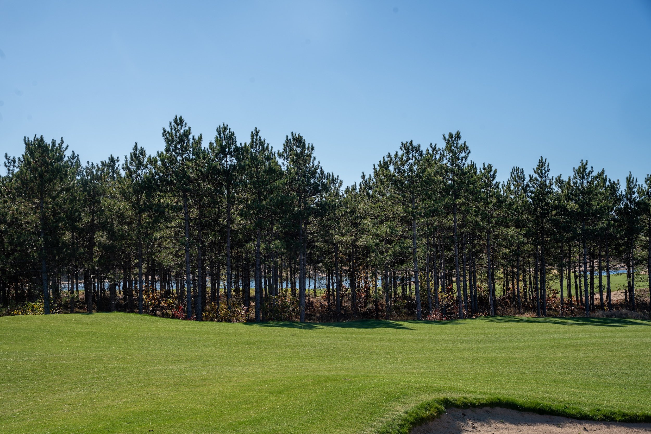 SandValleyRealEstate-Sedge-Village-Homesite-49-4.jpg