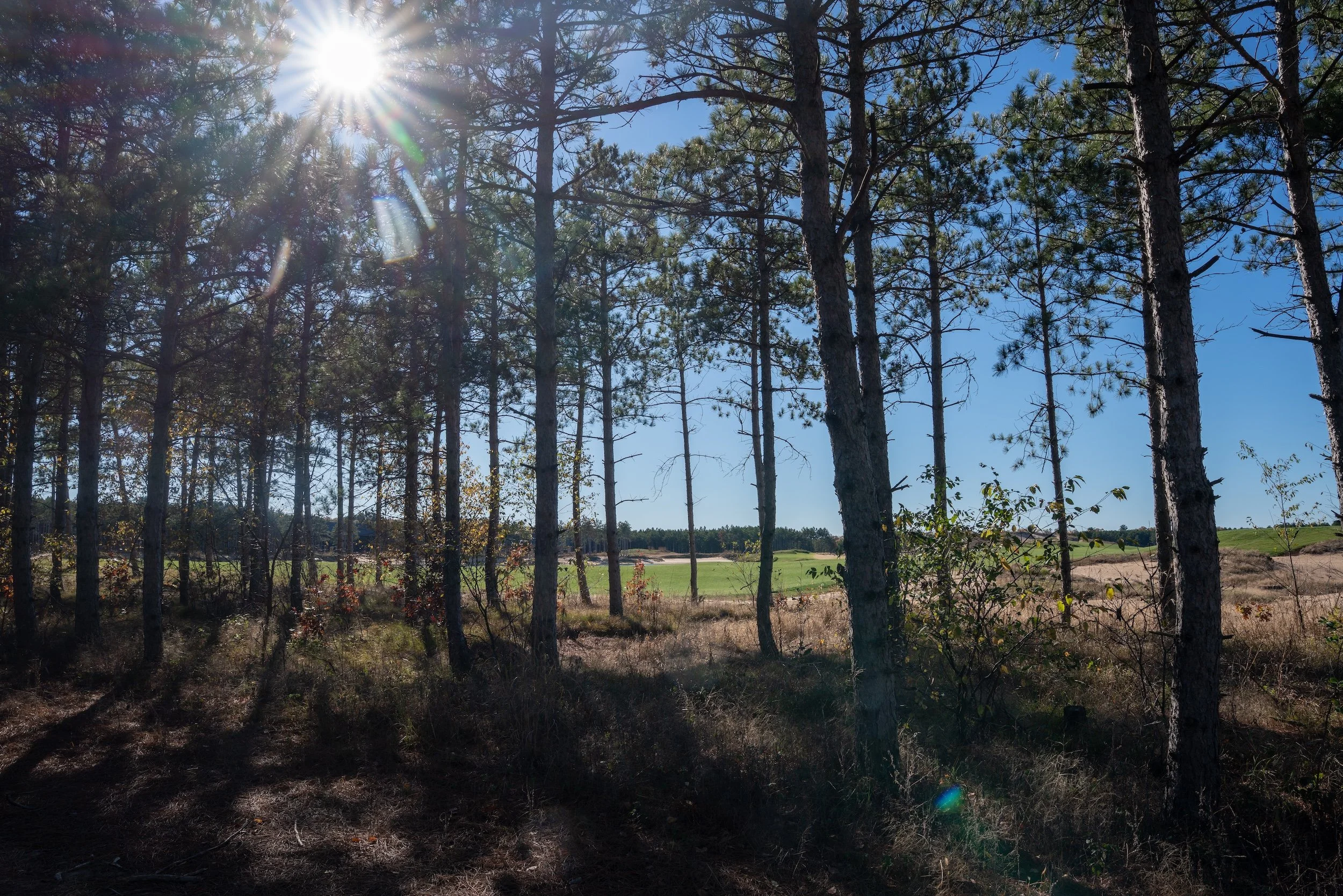 SandValleyRealEstate-Sedge-Village-Homesite-49-2.jpg