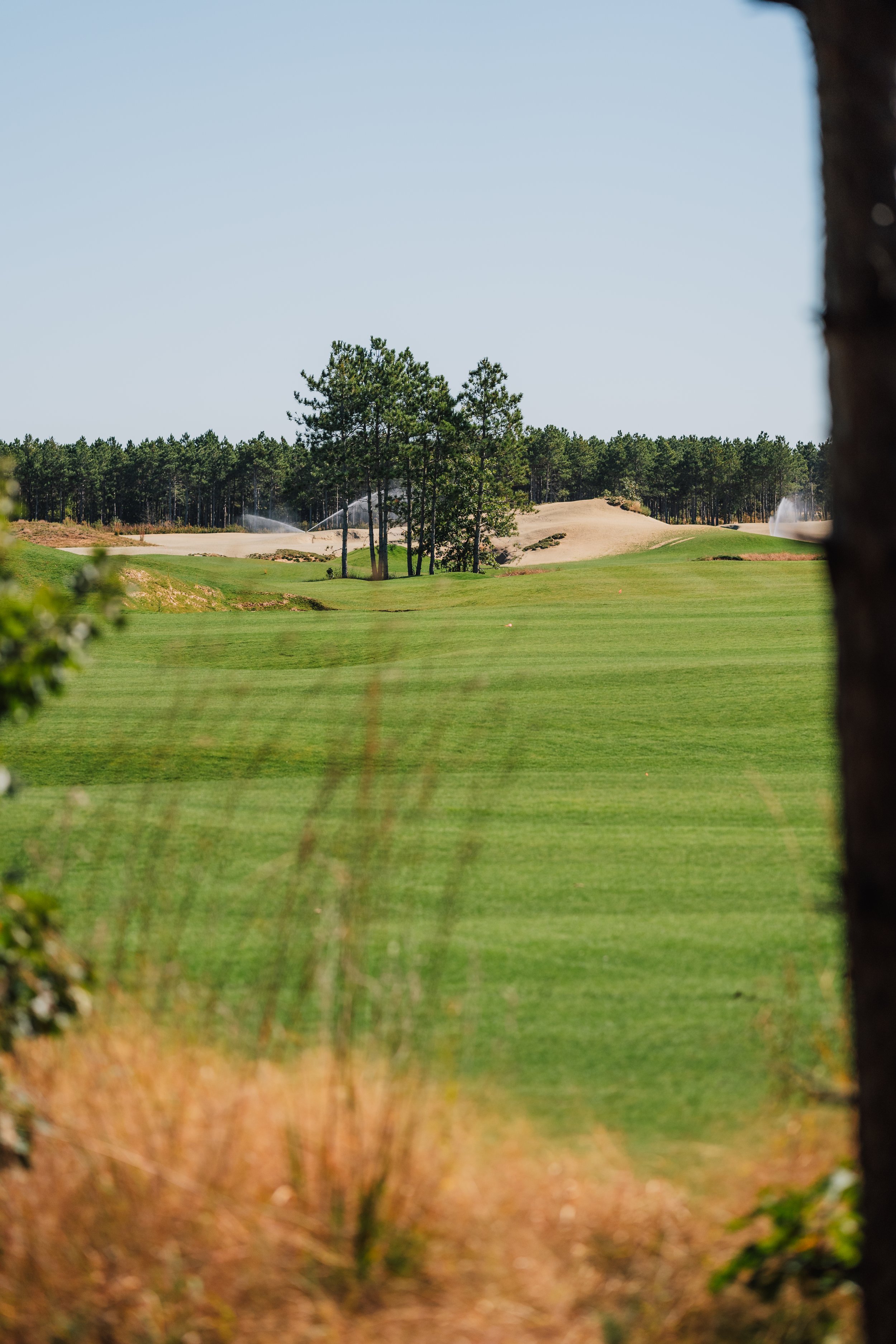 Copy of Commons Hole 1 (2).jpg