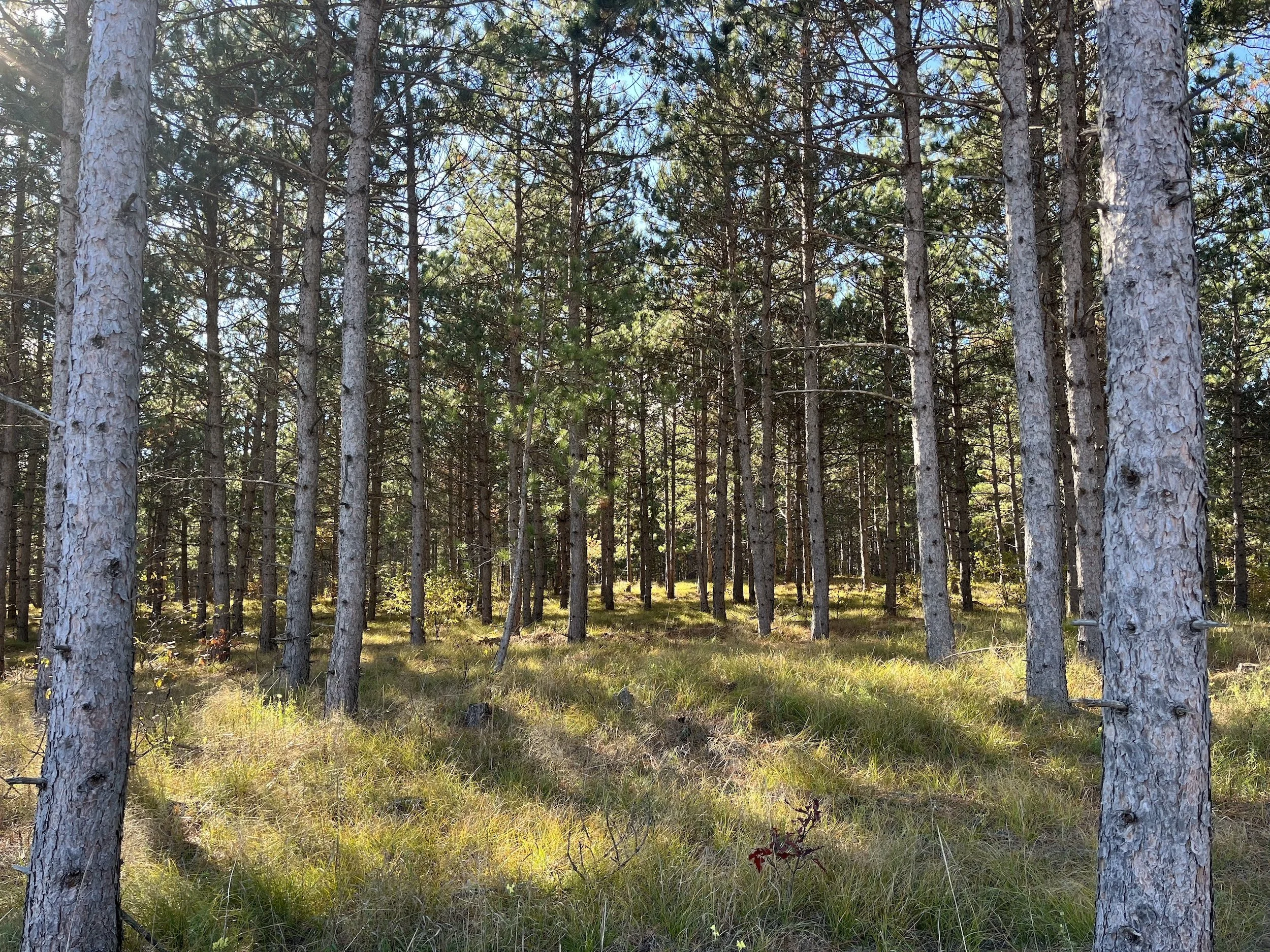SandValleyRealEstate-Sedge-Village-Homesite-4-1.jpeg