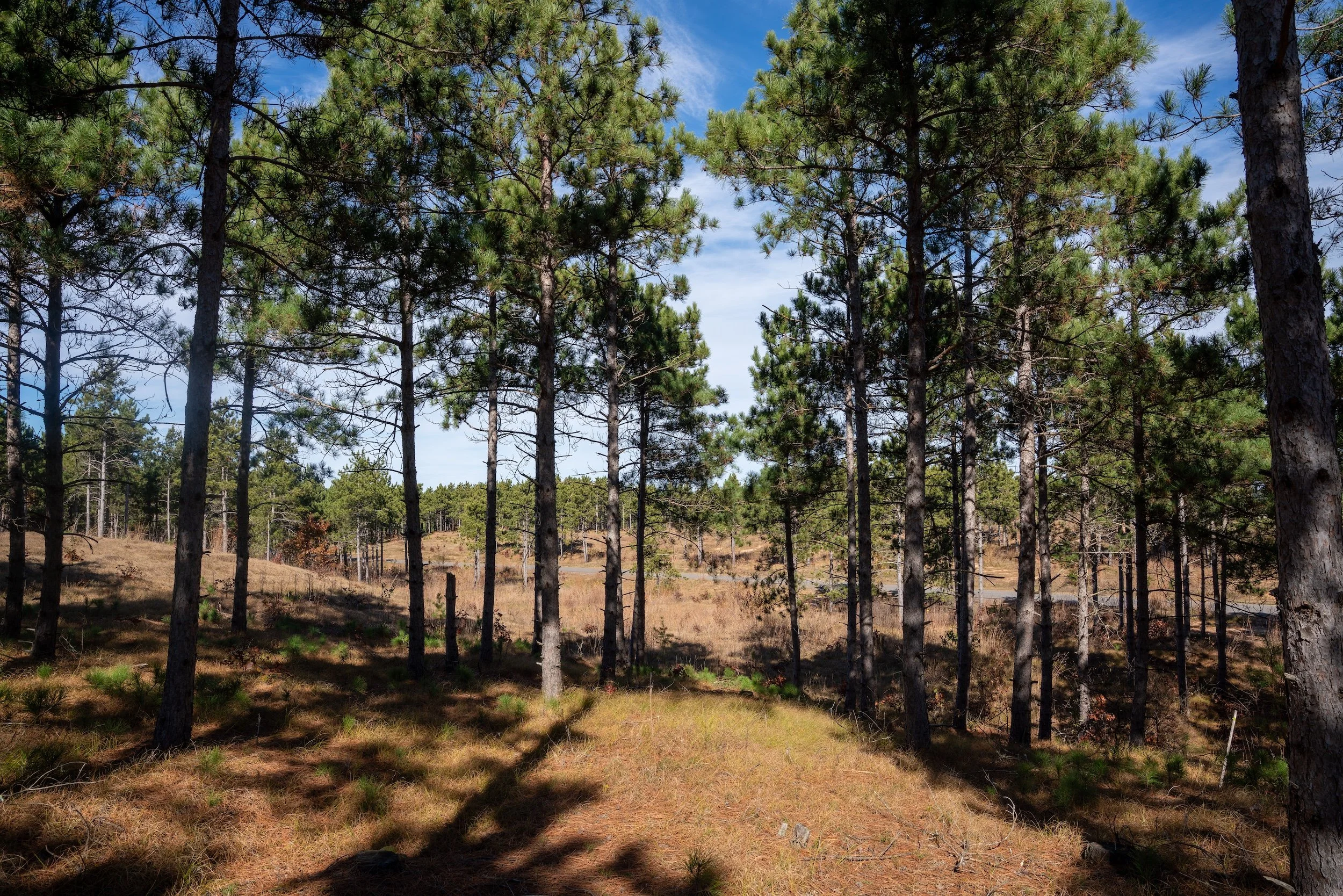 SandValleyRealEstate-Lido-Homesite-4-6.jpg