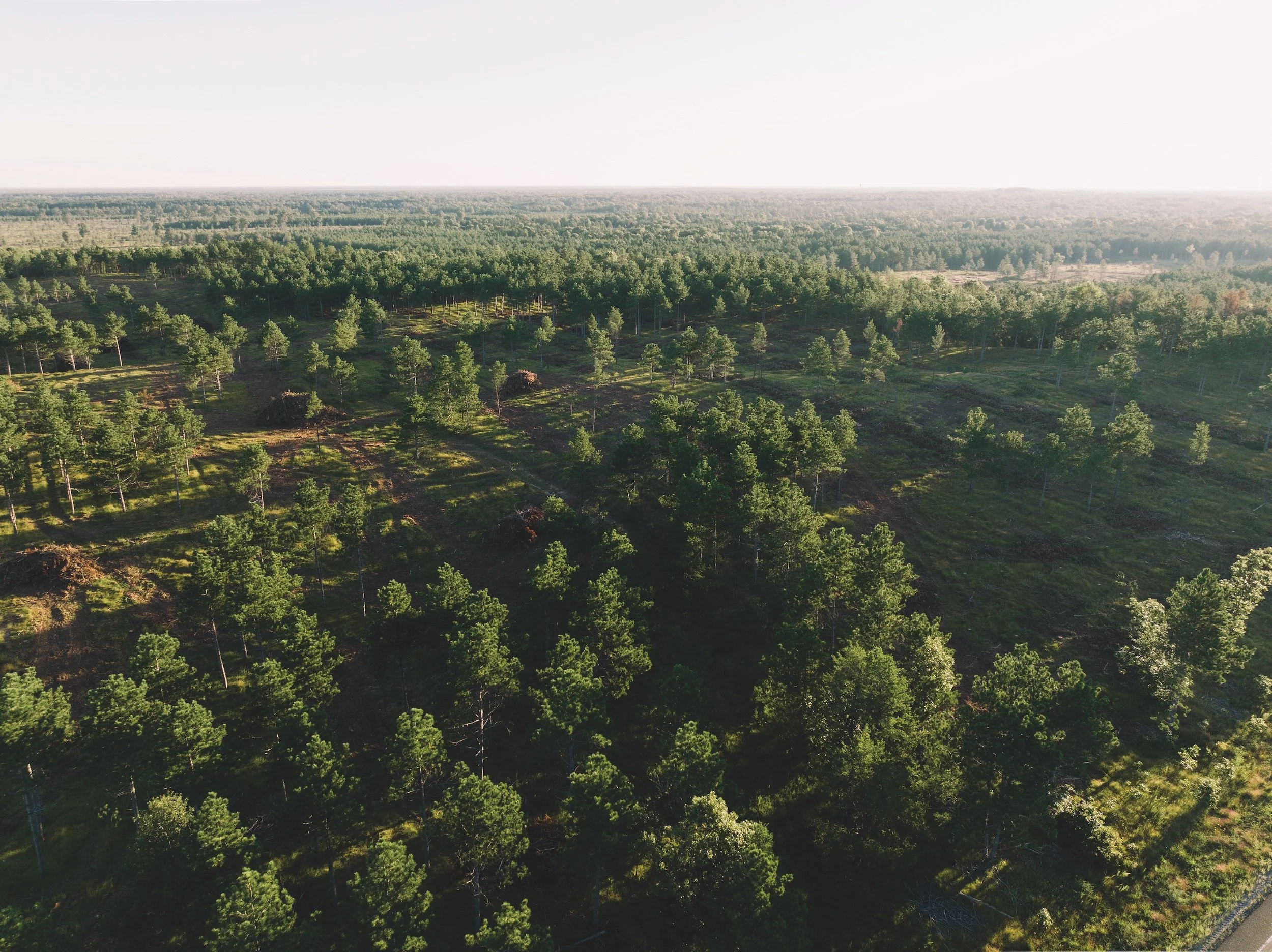 SandValleyRealEstate-Lido-Homesite-6-1.jpg