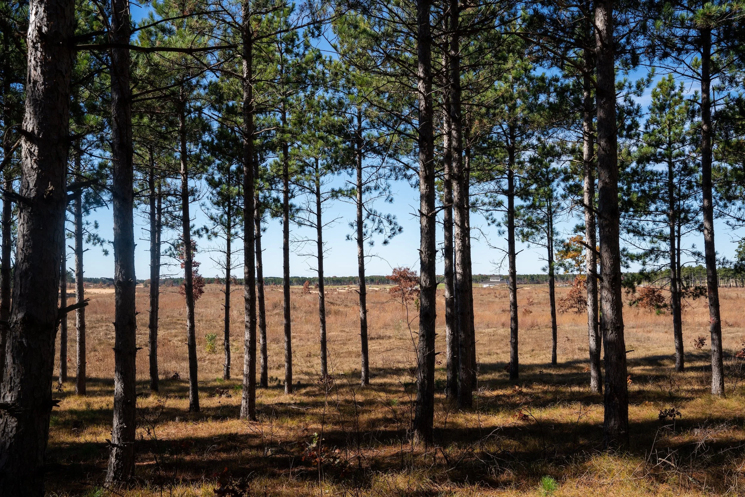 SandValleyRealEstate-Lido-Homesite-4-5.jpg