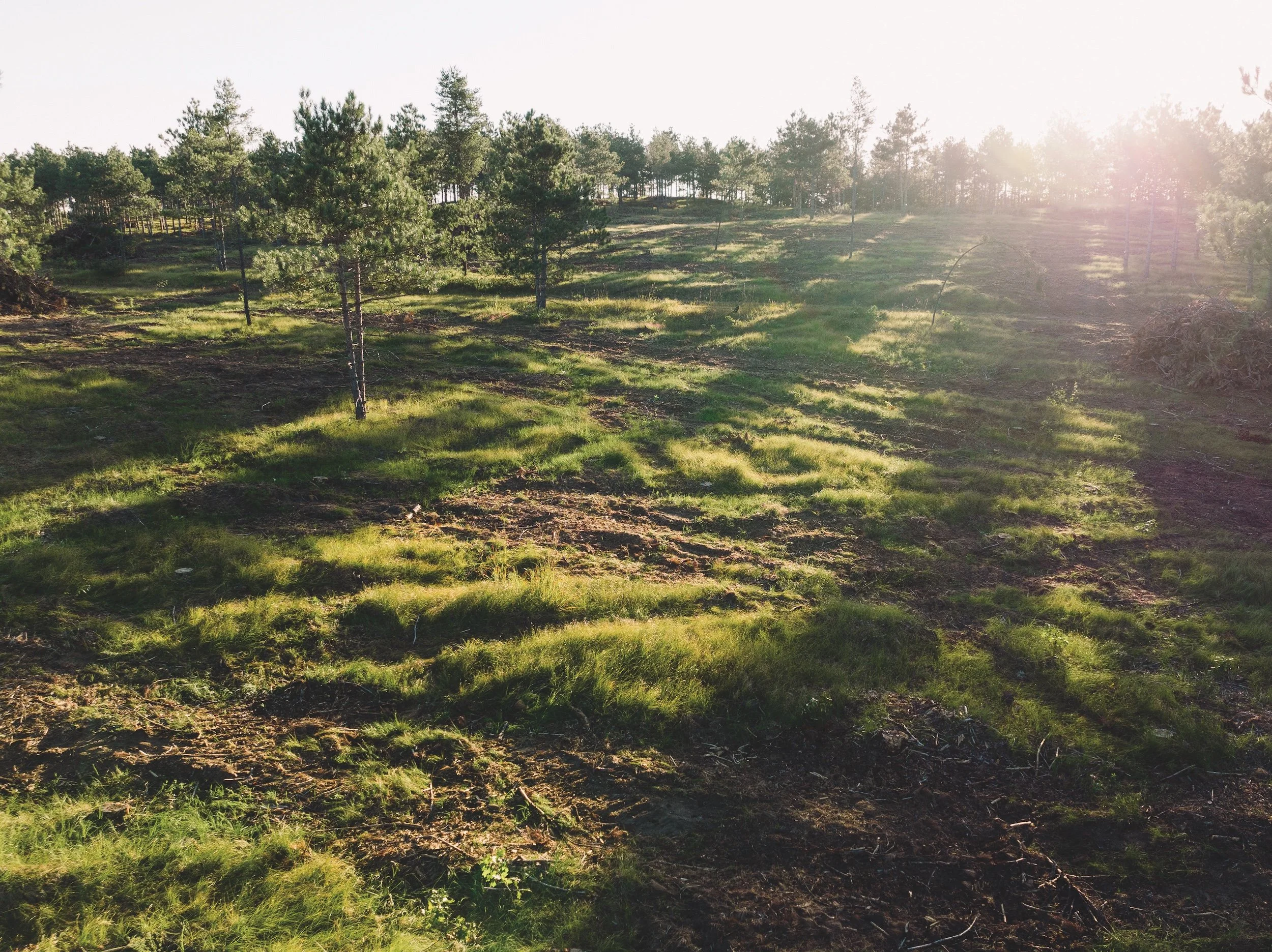 SandValleyRealEstate-Lido-Homesite-5-1.jpg