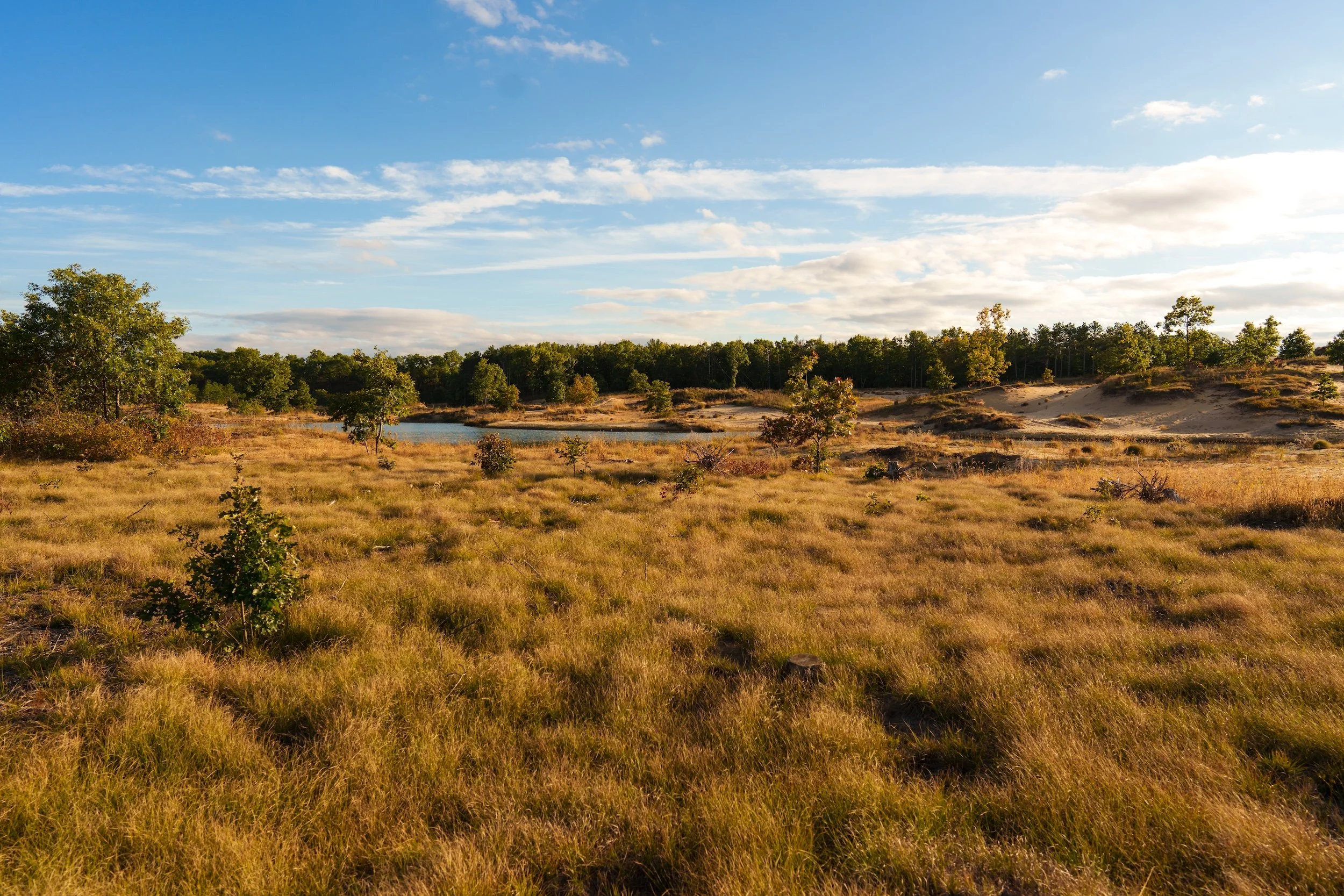 SandValleyRealEstate-Mammoth-Conservancy-Homesite-1-4.jpg