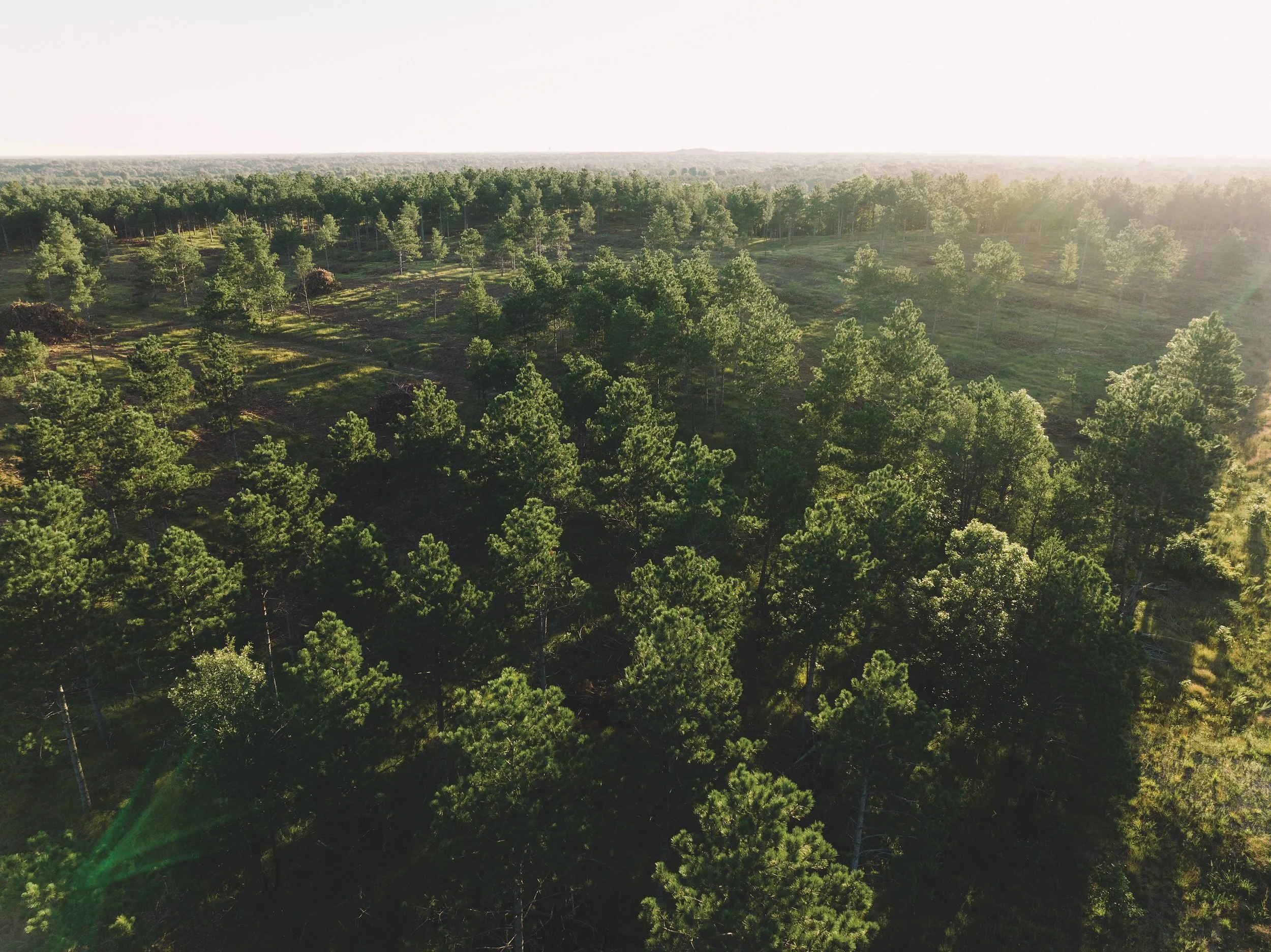 SandValleyRealEstate-Lido-Homesite-5-3.jpg