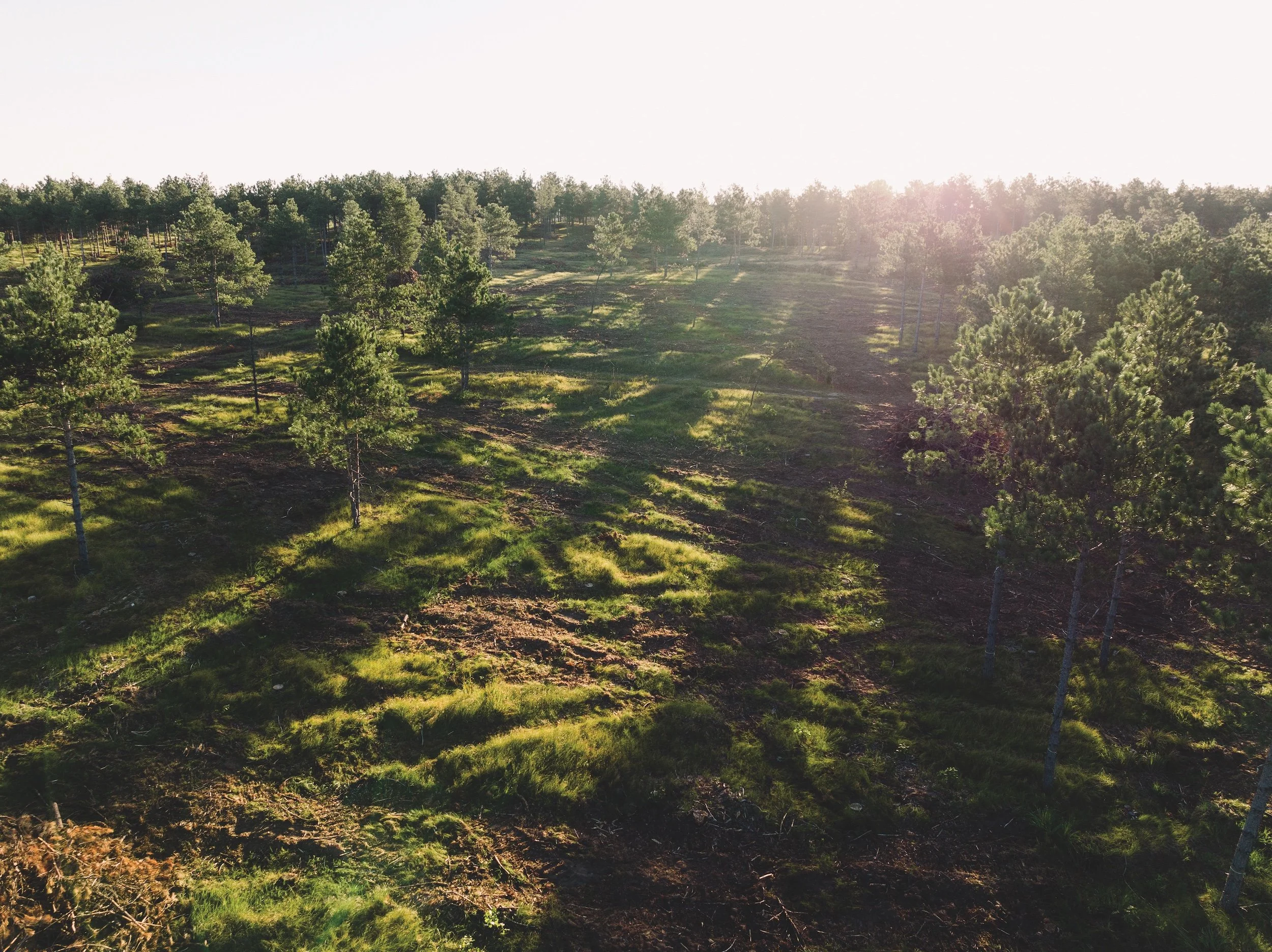 SandValleyRealEstate-Lido-Homesite-5-2.jpg