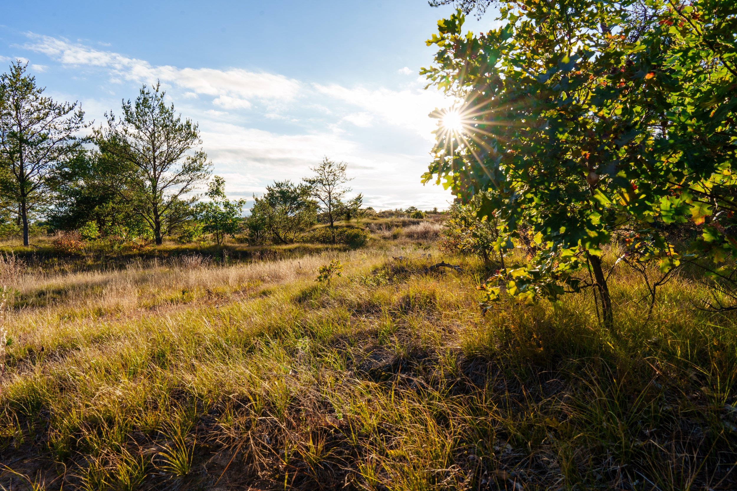 SandValleyRealEstate-Mammoth-Conservancy-Homesite-6-3.jpg