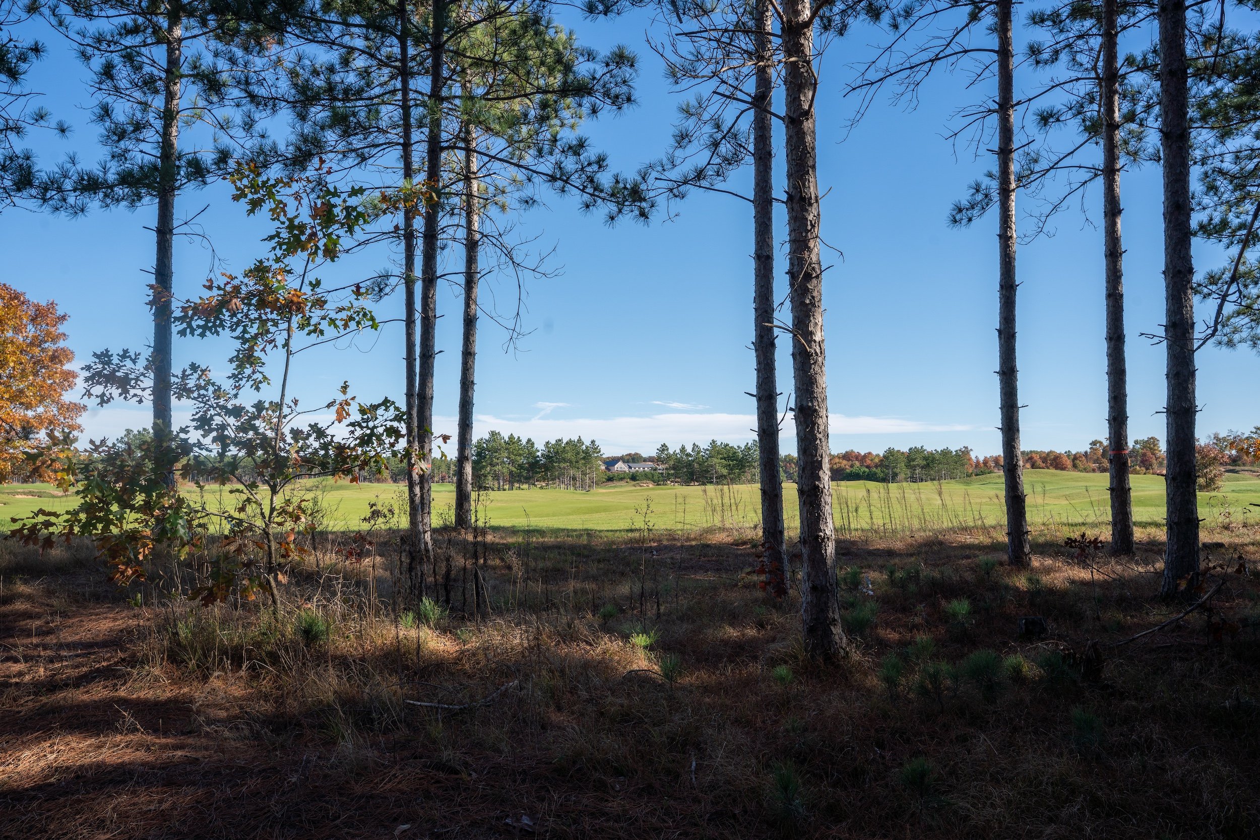 SandValleyRealEstate-Sedge-Village-Homesite-52-3.jpg