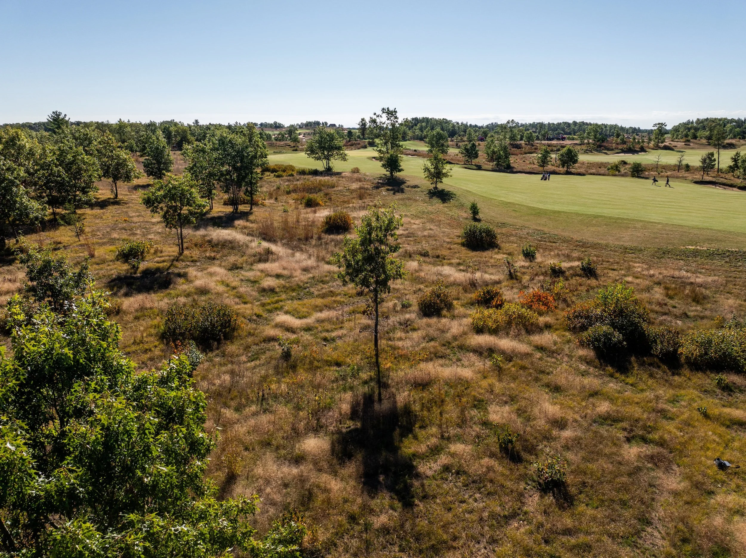SandValleyRealEstate-Sedge-Village-Homesite-69-1.jpg