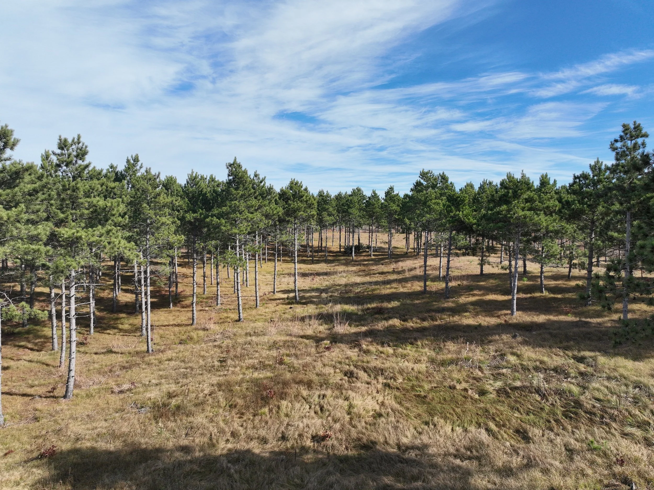 SandValleyRealEstate-Lido-Homesite-5-6.jpg