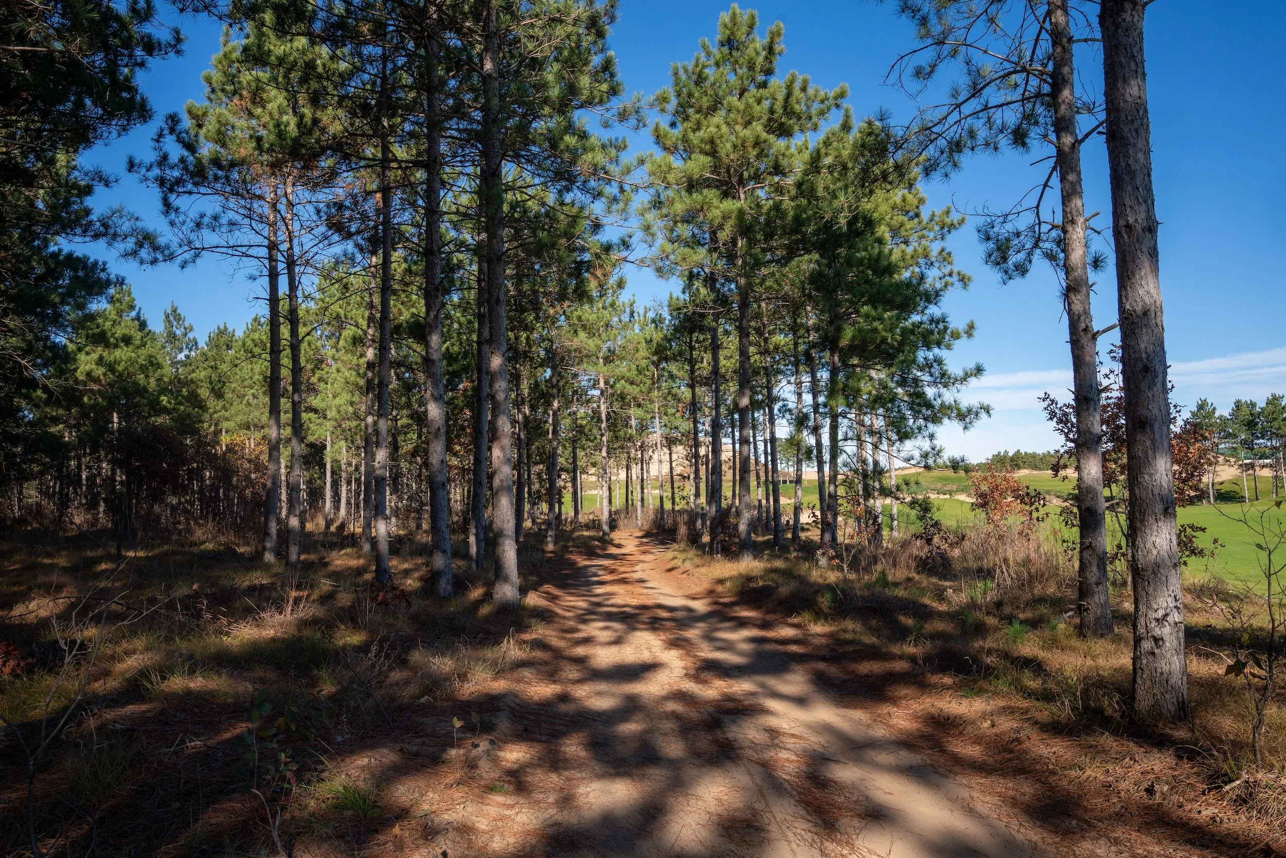 SandValleyRealEstate-Sedge-Village-Homesite-53-4.jpg