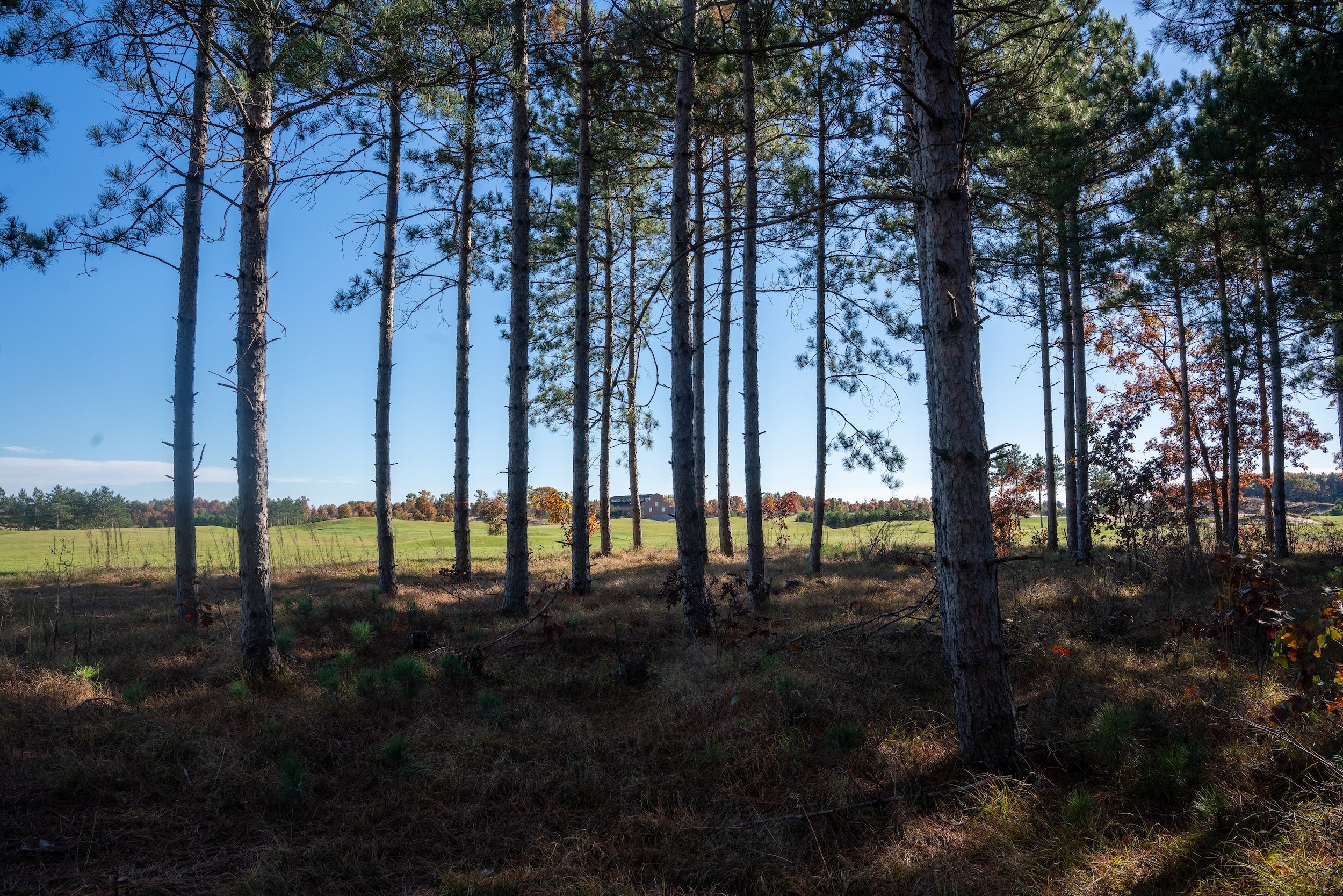 SandValleyRealEstate-Sedge-Village-Homesite-51-4.jpg