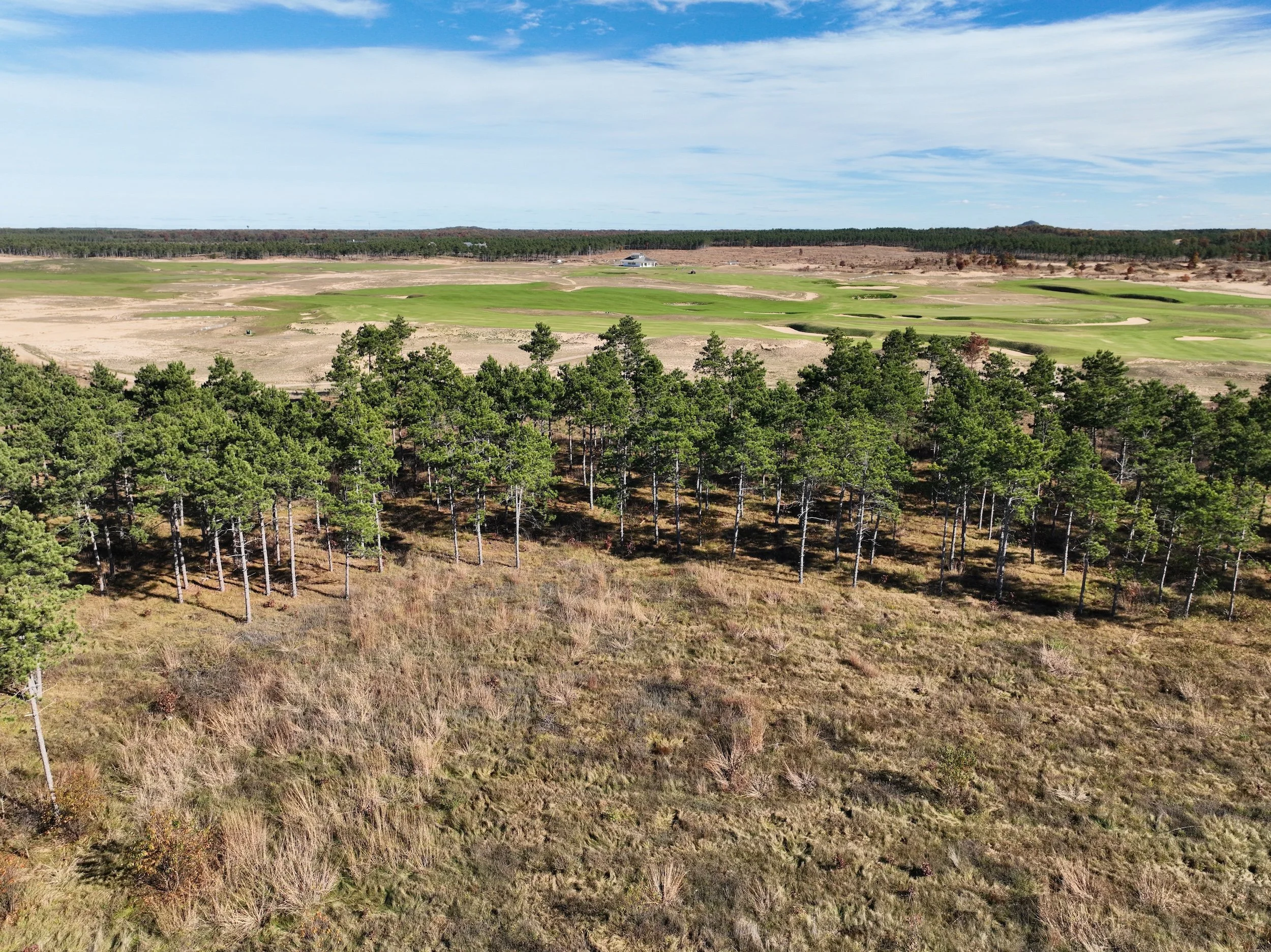 SandValleyRealEstate-Lido-Homesite-16-5.jpg