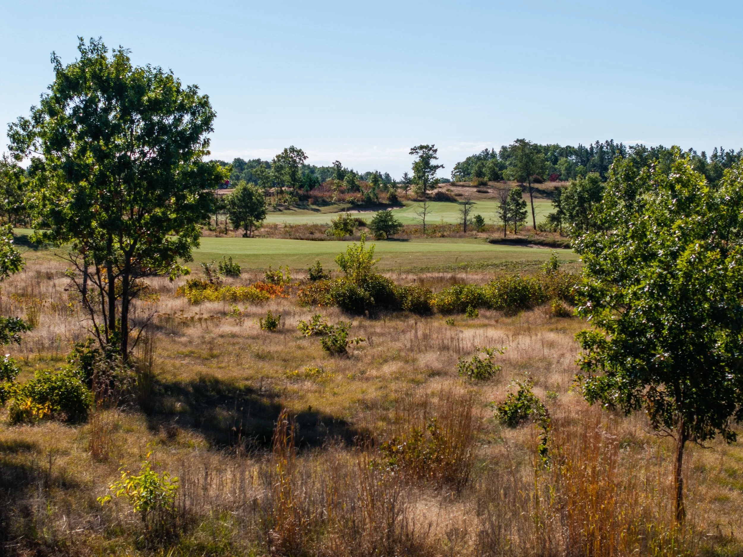 SandValleyRealEstate-Sedge-Village-Homesite-68-3.jpg