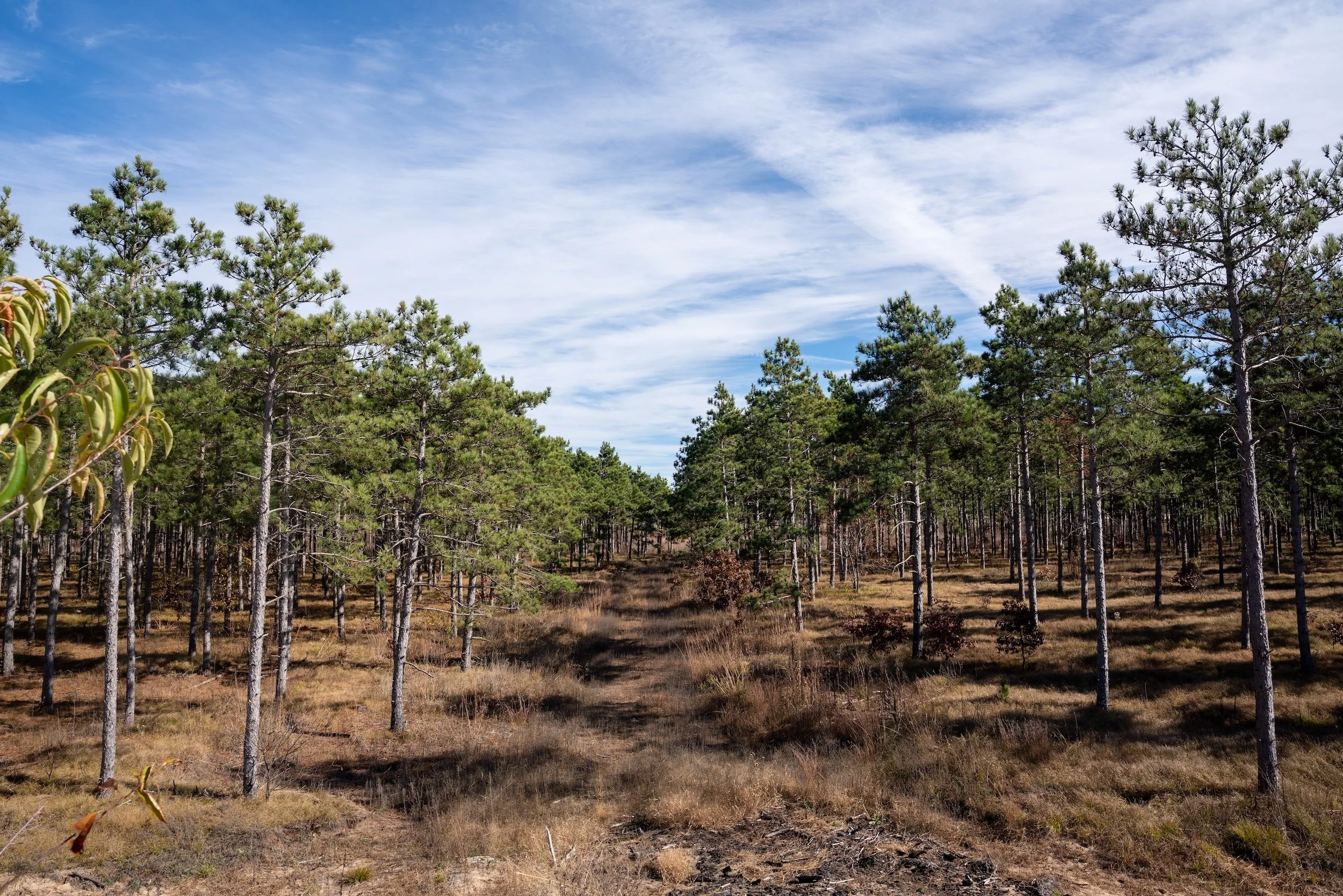 SandValleyRealEstate-Sedge-Village-Homesite-4-4.jpg