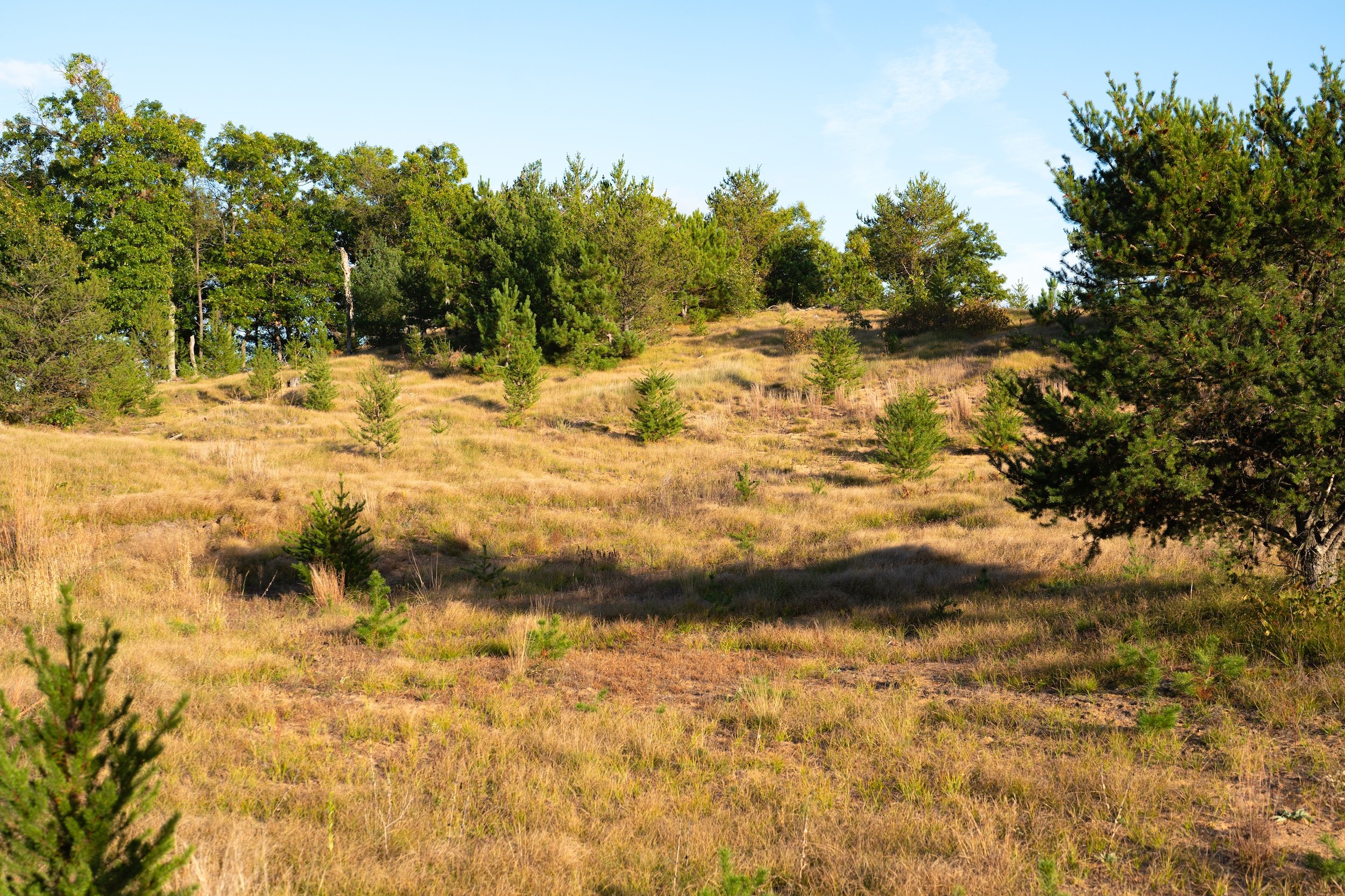 SandValleyRealEstate-Mammoth-Conservancy-Homesite-6-6.jpg