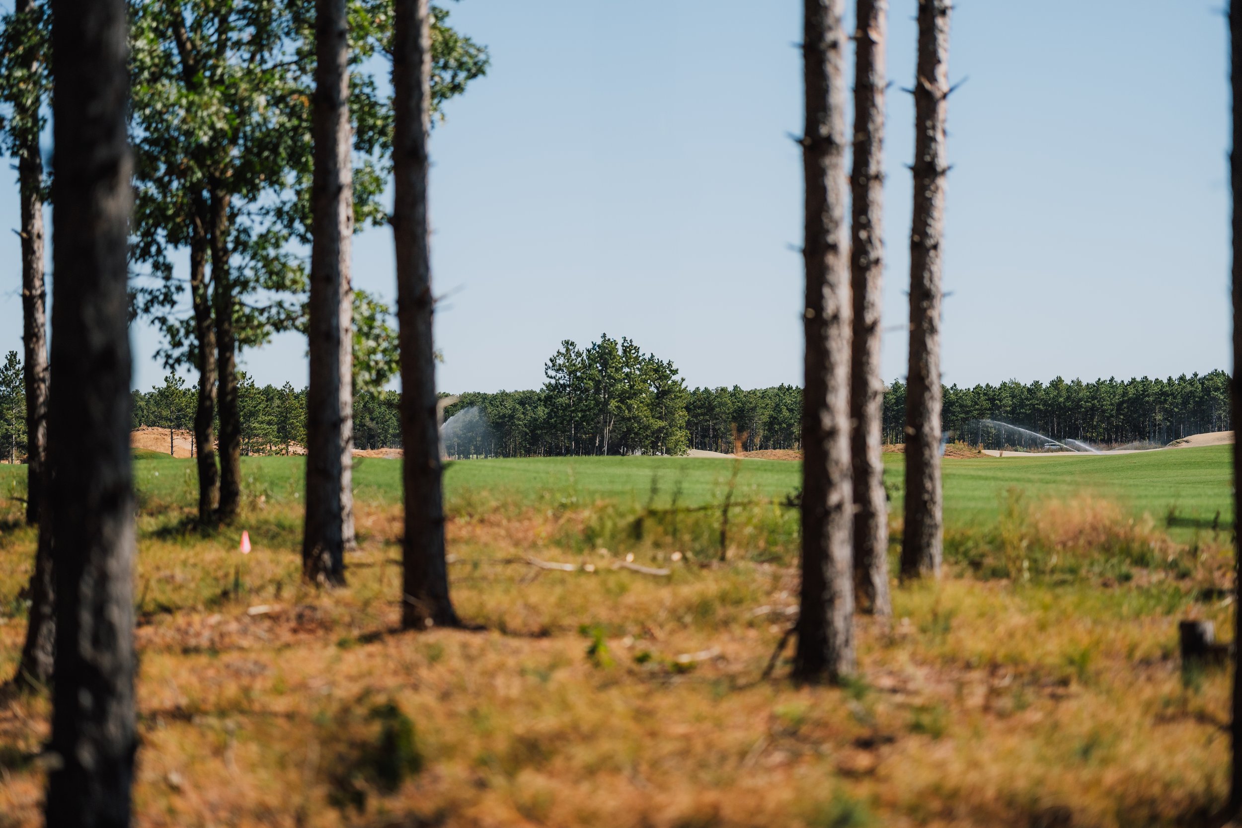 Copy of Commons Hole 1 (3).jpg