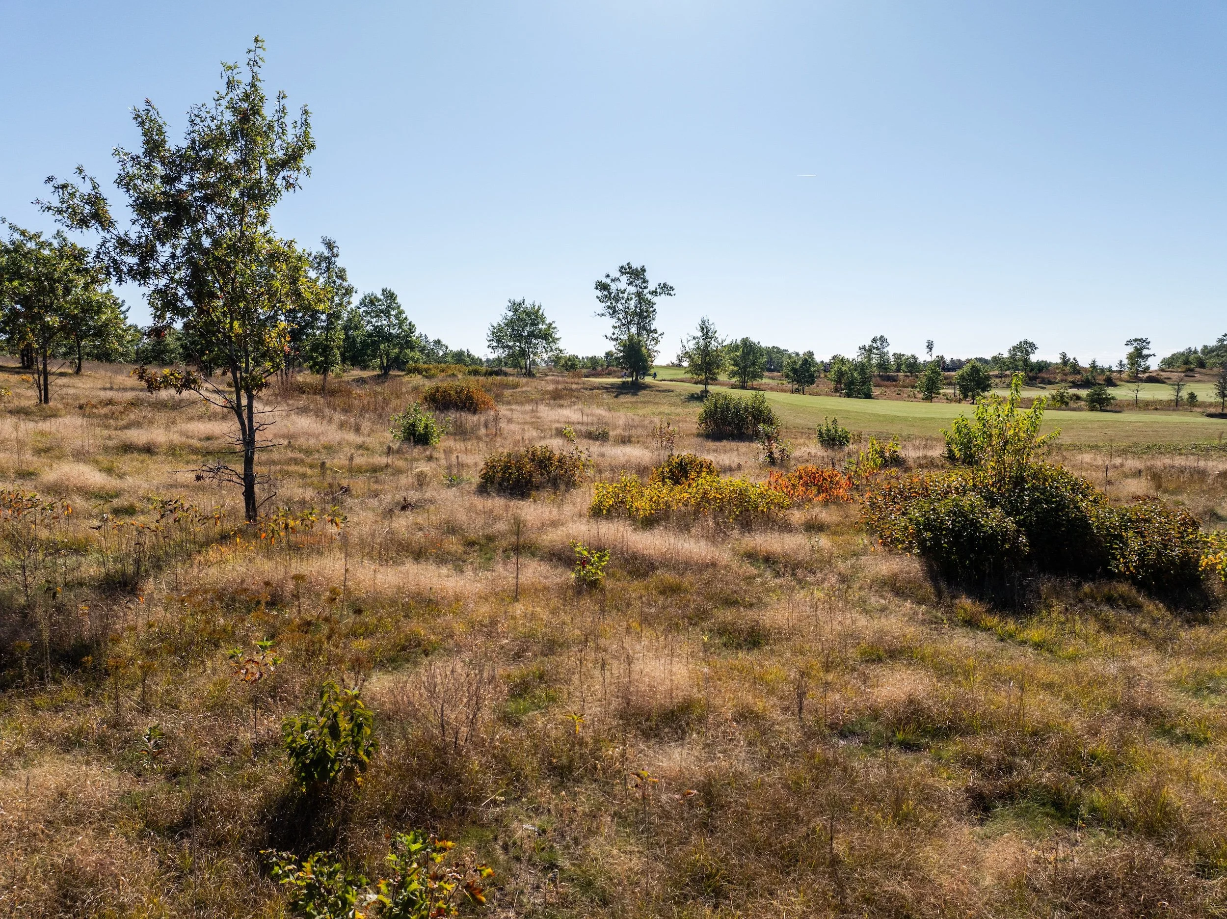 SandValleyRealEstate-Sedge-Village-Homesite-69-4.jpg