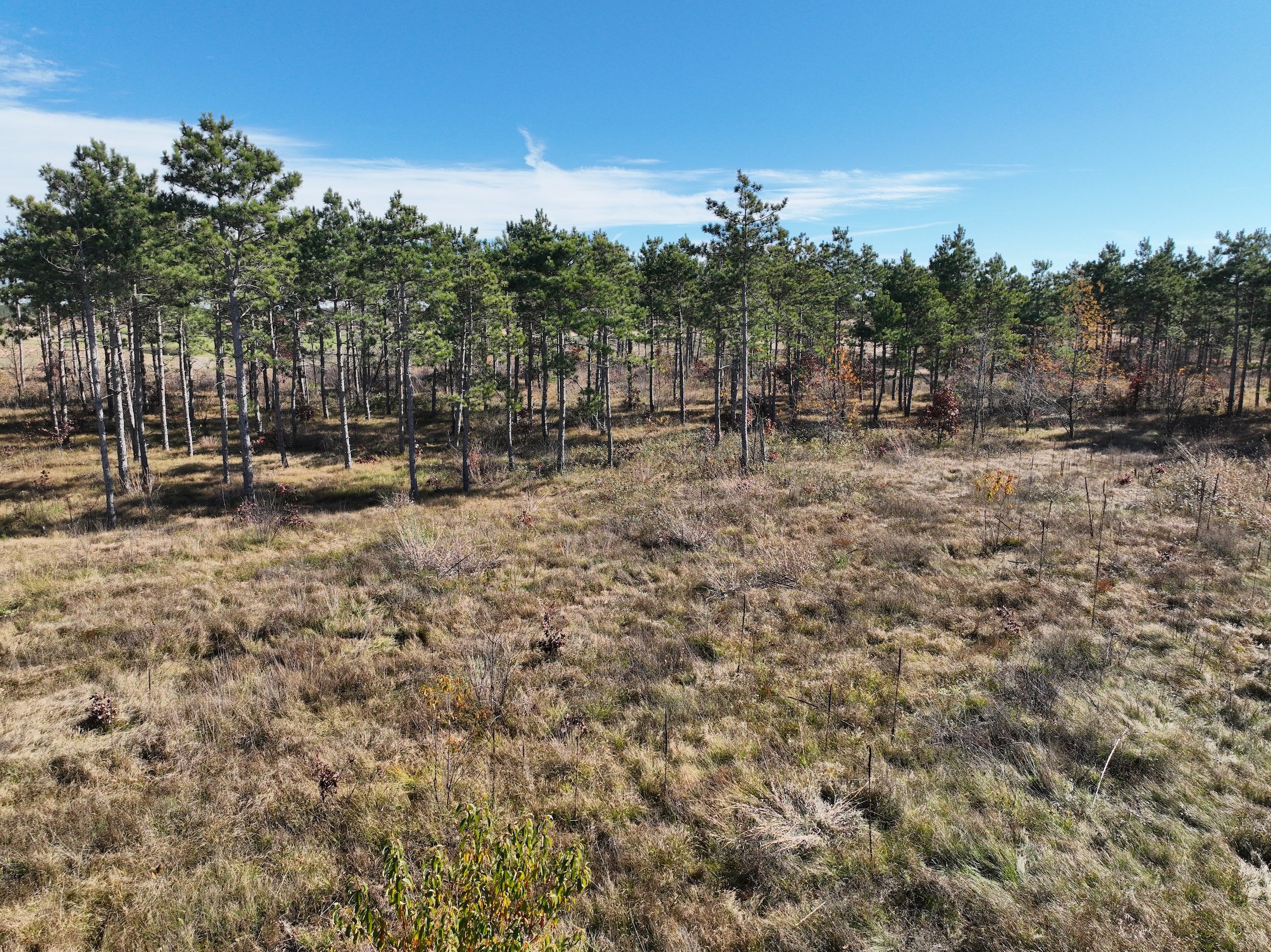 SandValleyRealEstate-Lido-Homesite-16-4.jpg