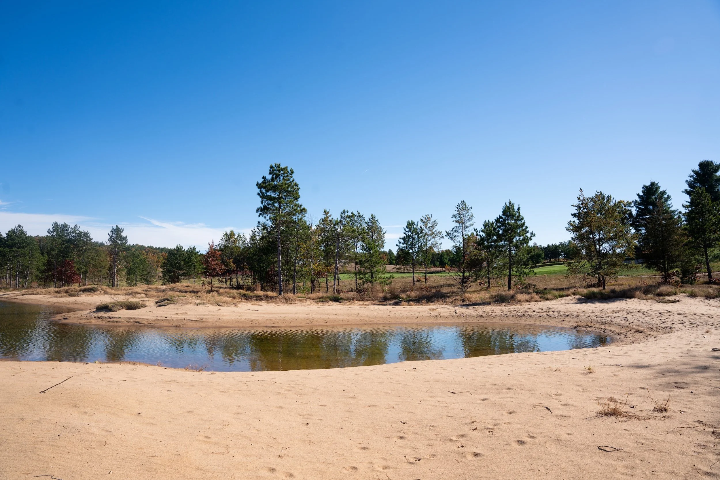 SandValleyRealEstate-Sedge-Village-Homesite-37-5.jpg