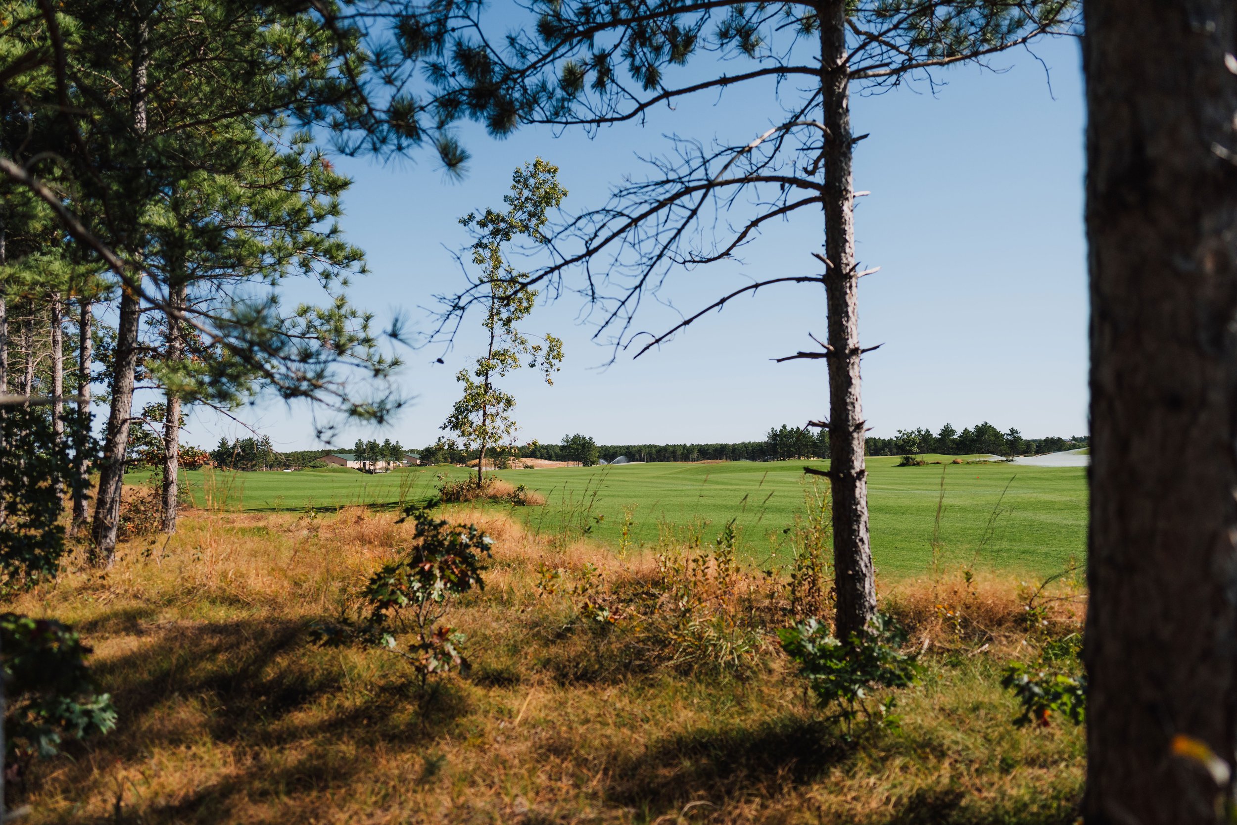 Copy-of-Commons-Hole-1-(4).jpg