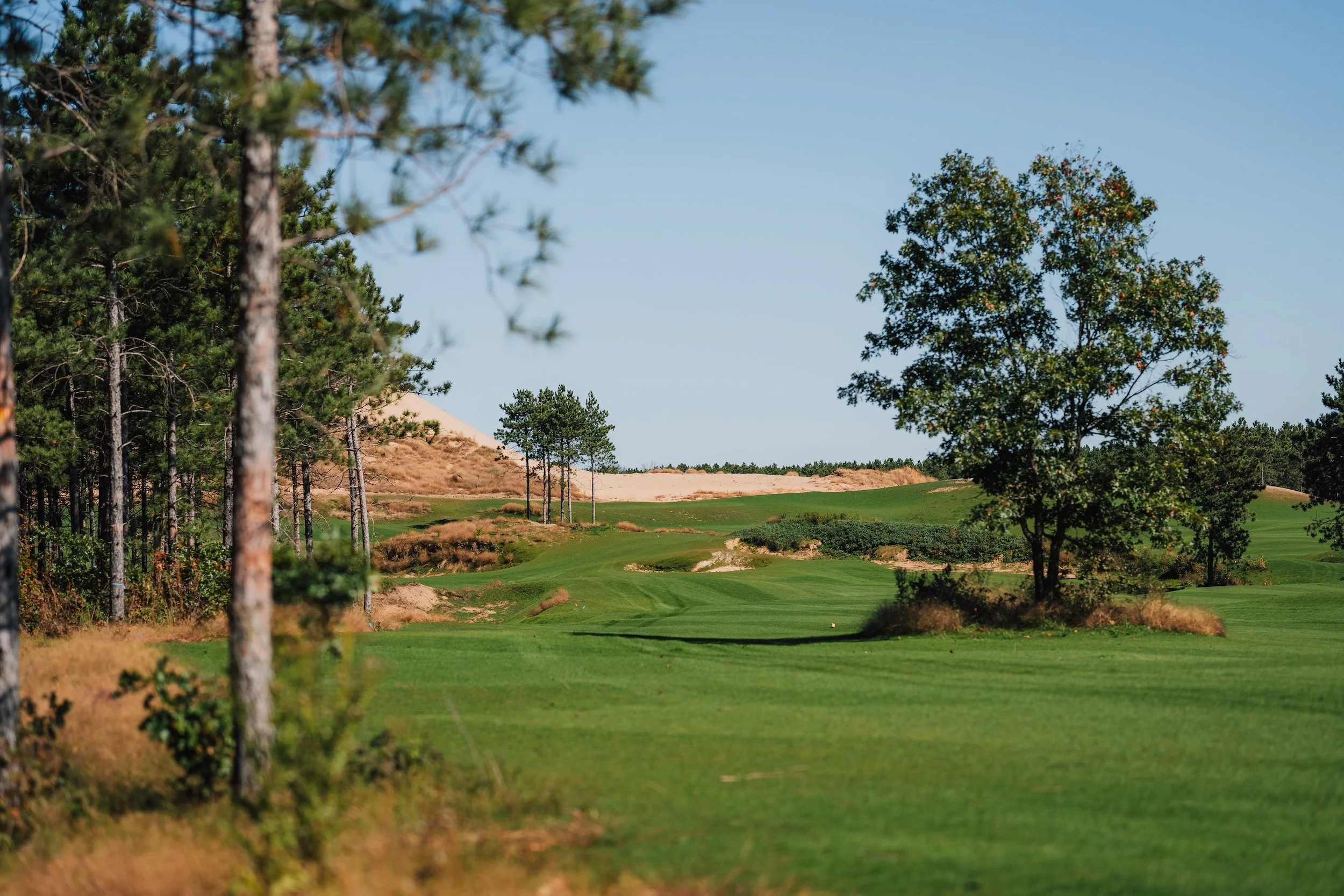 SandValleyRealEstate-Sedge-Village-Homesite-50-1.jpg