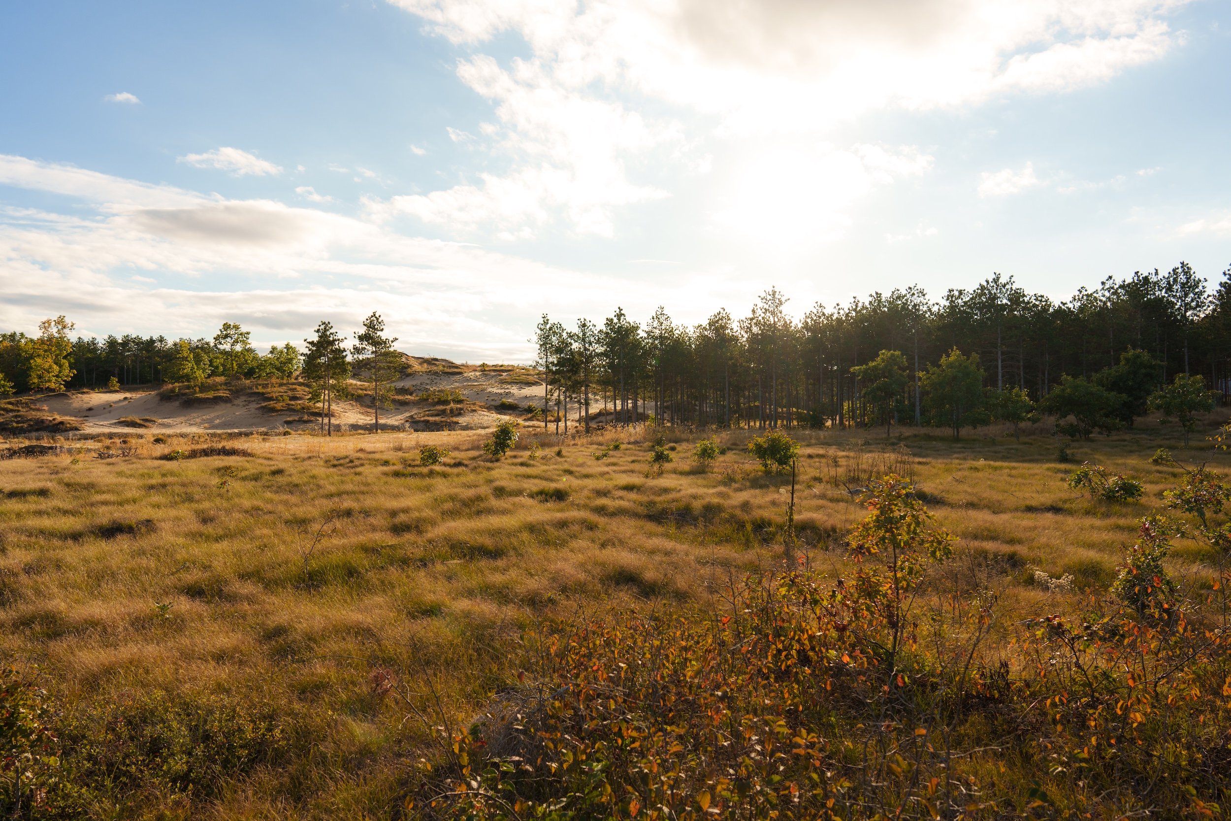 SandValleyRealEstate-Mammoth-Conservancy-Homesite-1-6.jpg