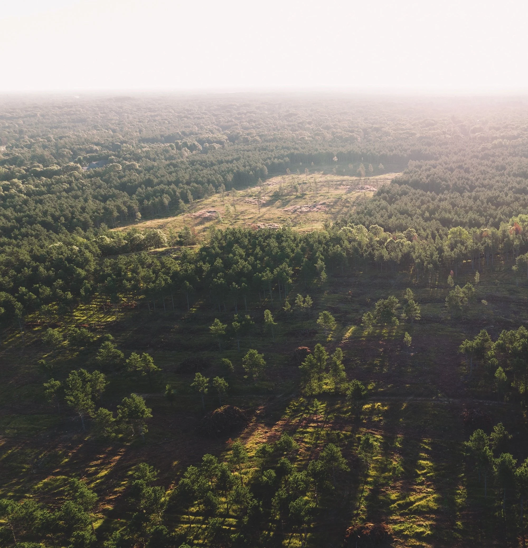 Lido Homesite 16 — $2,950,000