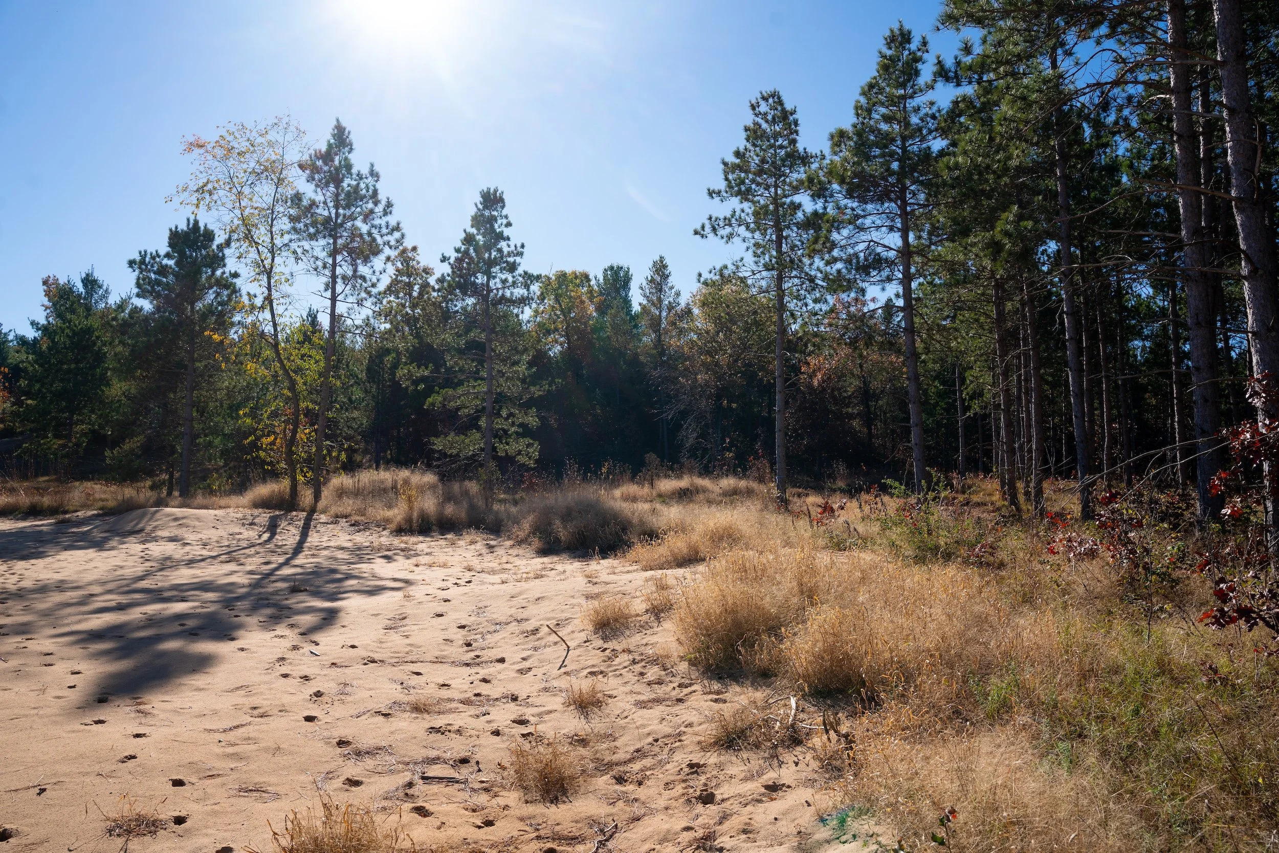 SandValleyRealEstate-Sedge-Village-Homesite-37-2.jpg
