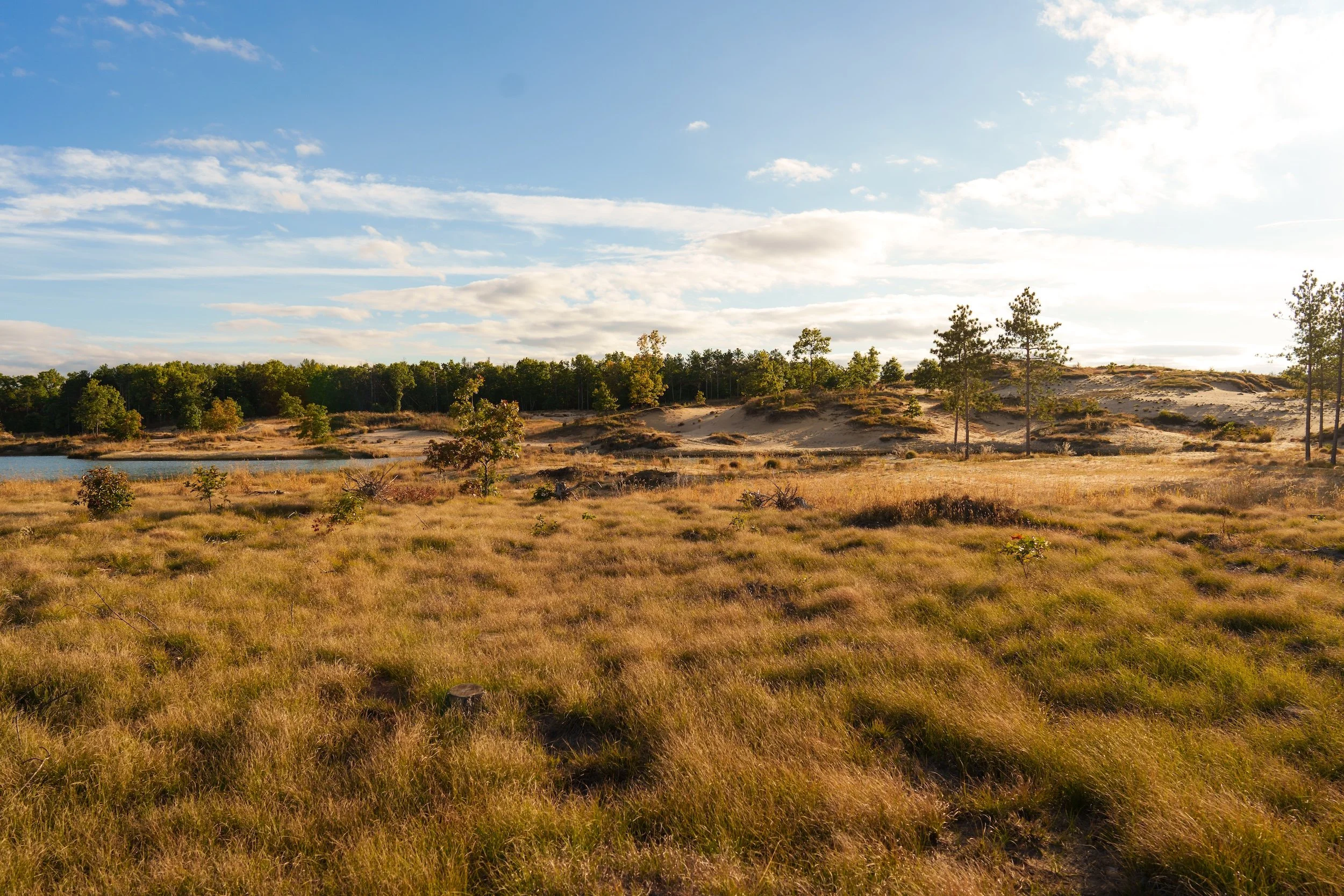 SandValleyRealEstate-Mammoth-Conservancy-Homesite-1-2.jpg