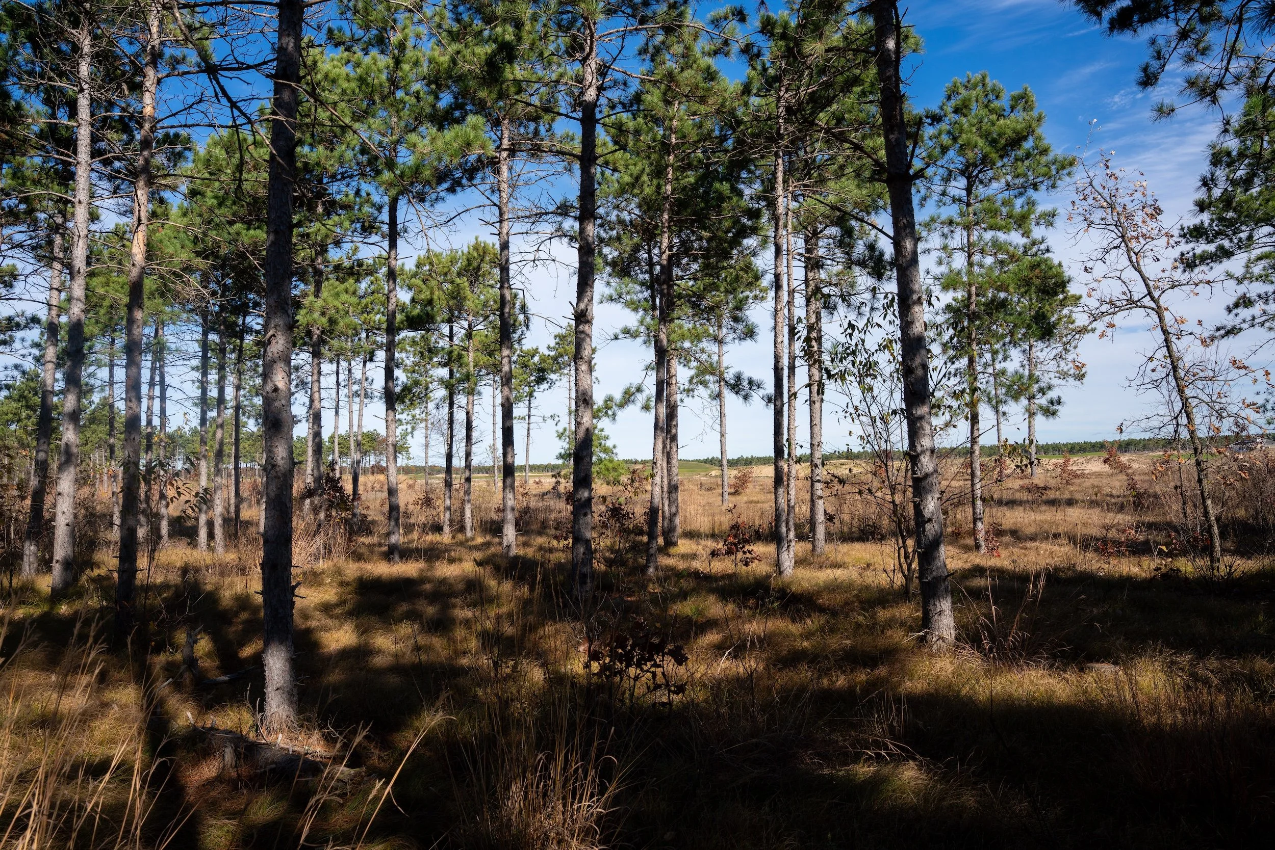 SandValleyRealEstate-Lido-Homesite-16-1.jpg