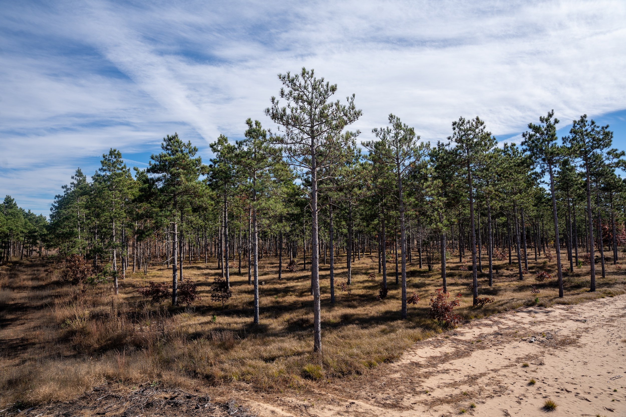 SandValleyRealEstate-Lido-Homesite-16-7.jpg