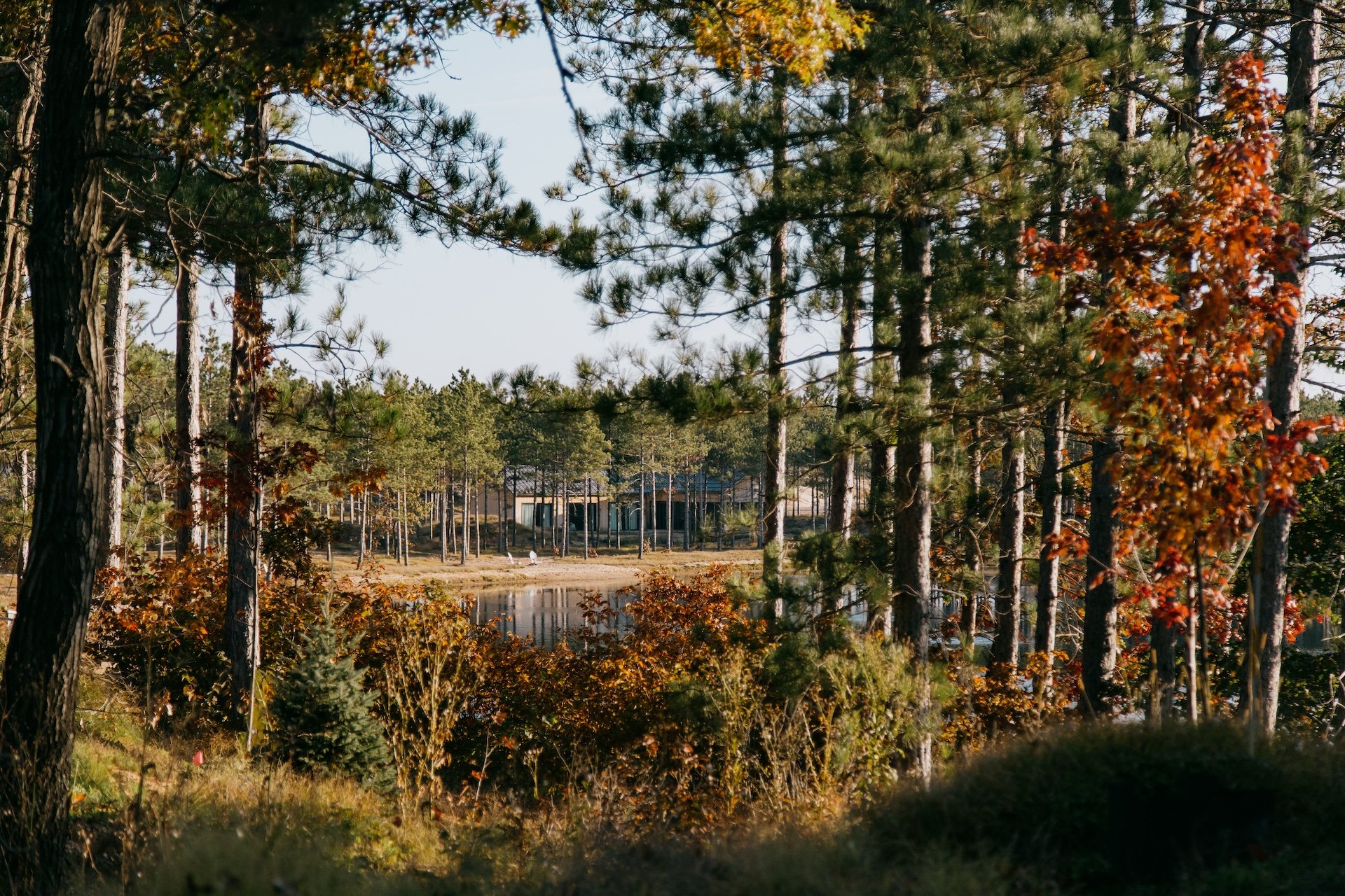Copy of Mirror Lake.jpg