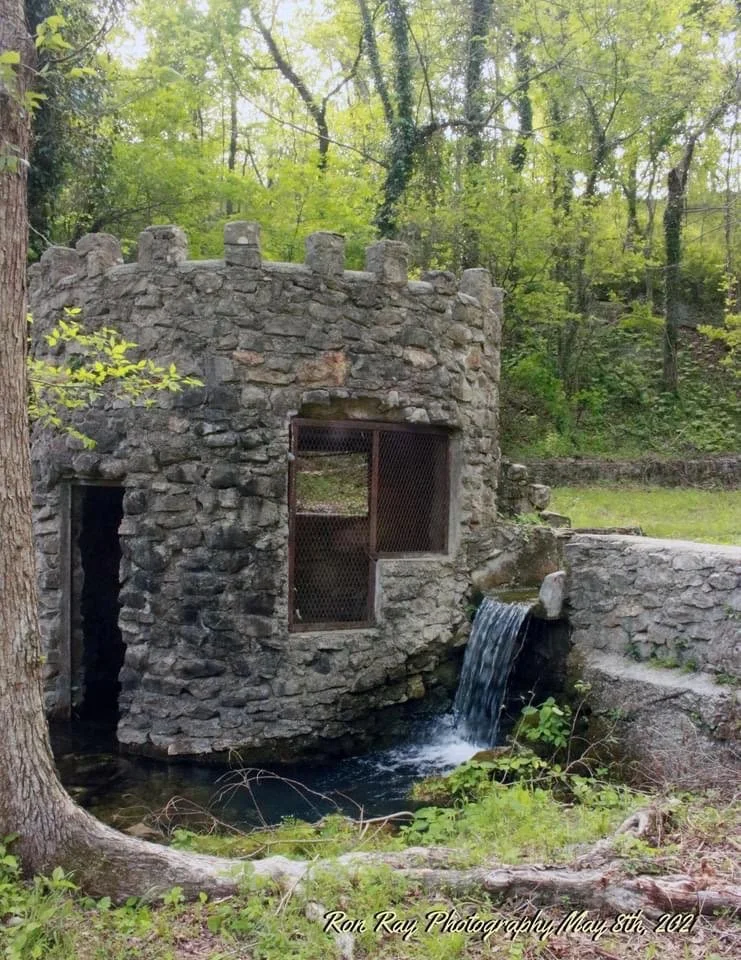 Castle at the spring