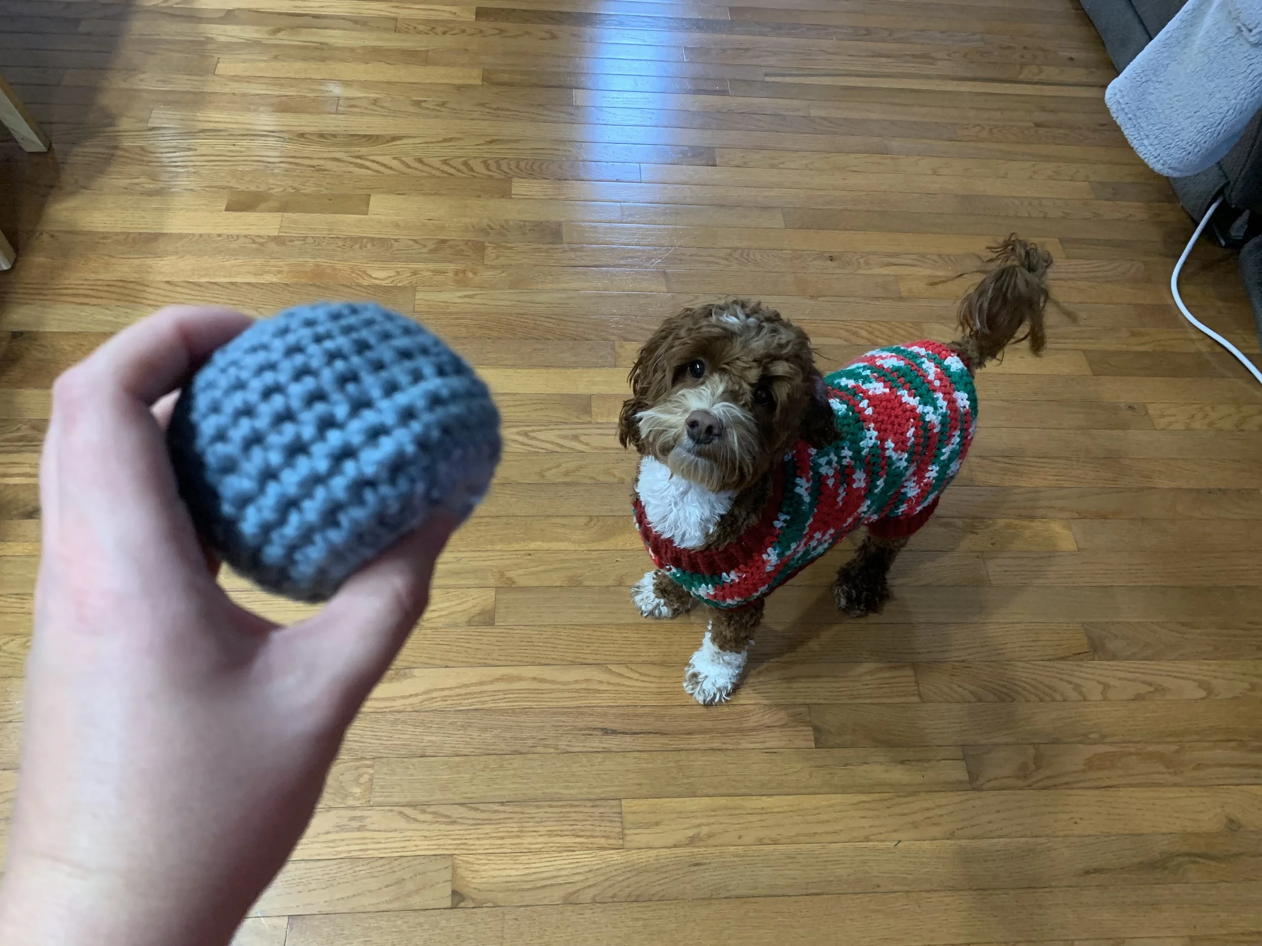 Scrappy-Bits: Squeaky Ball