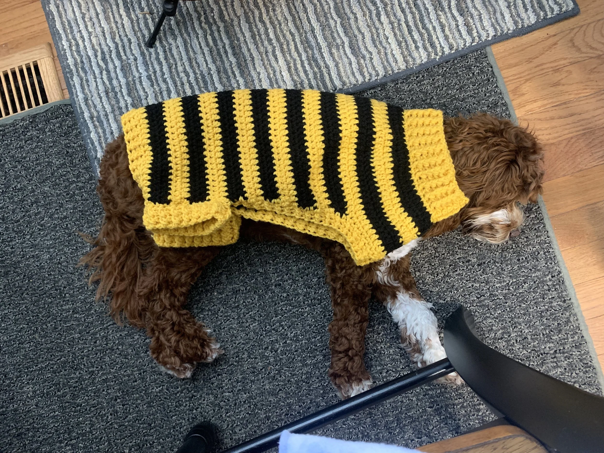 Doggie Sweater: “Rocky’s Delight”