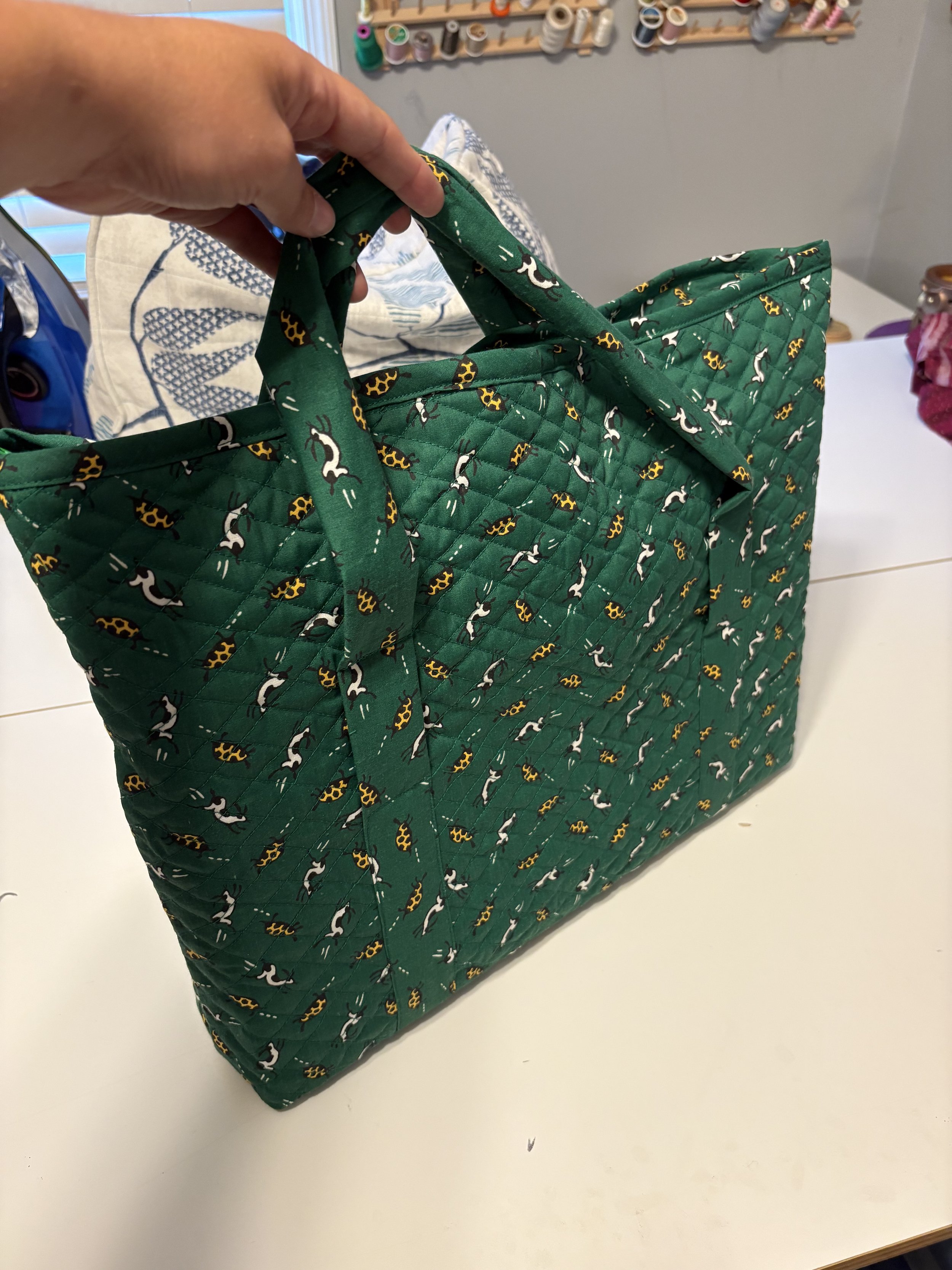 Game Bag in use... have games will travel!