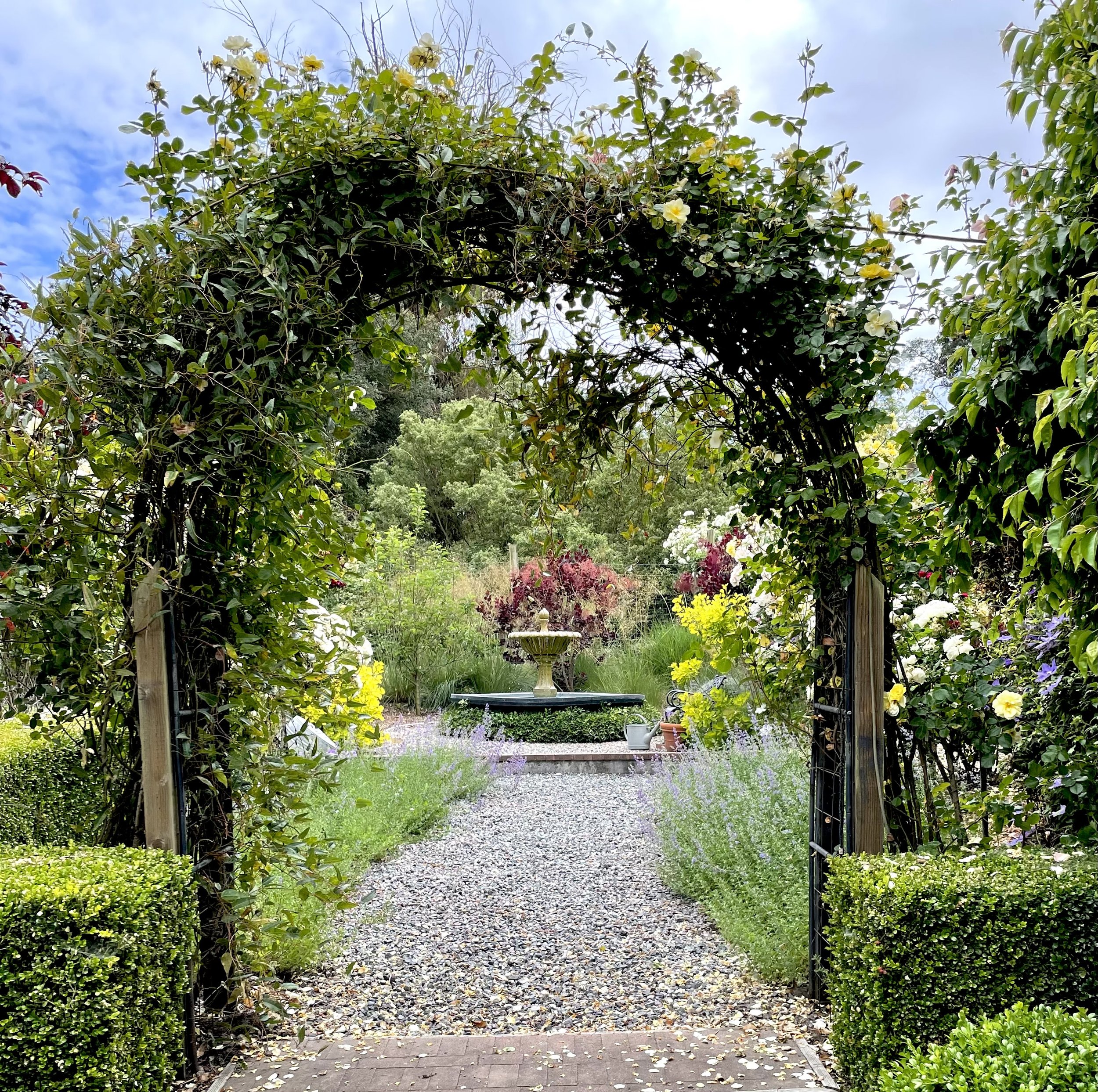 Page 30 Cathy's Arch.jpg