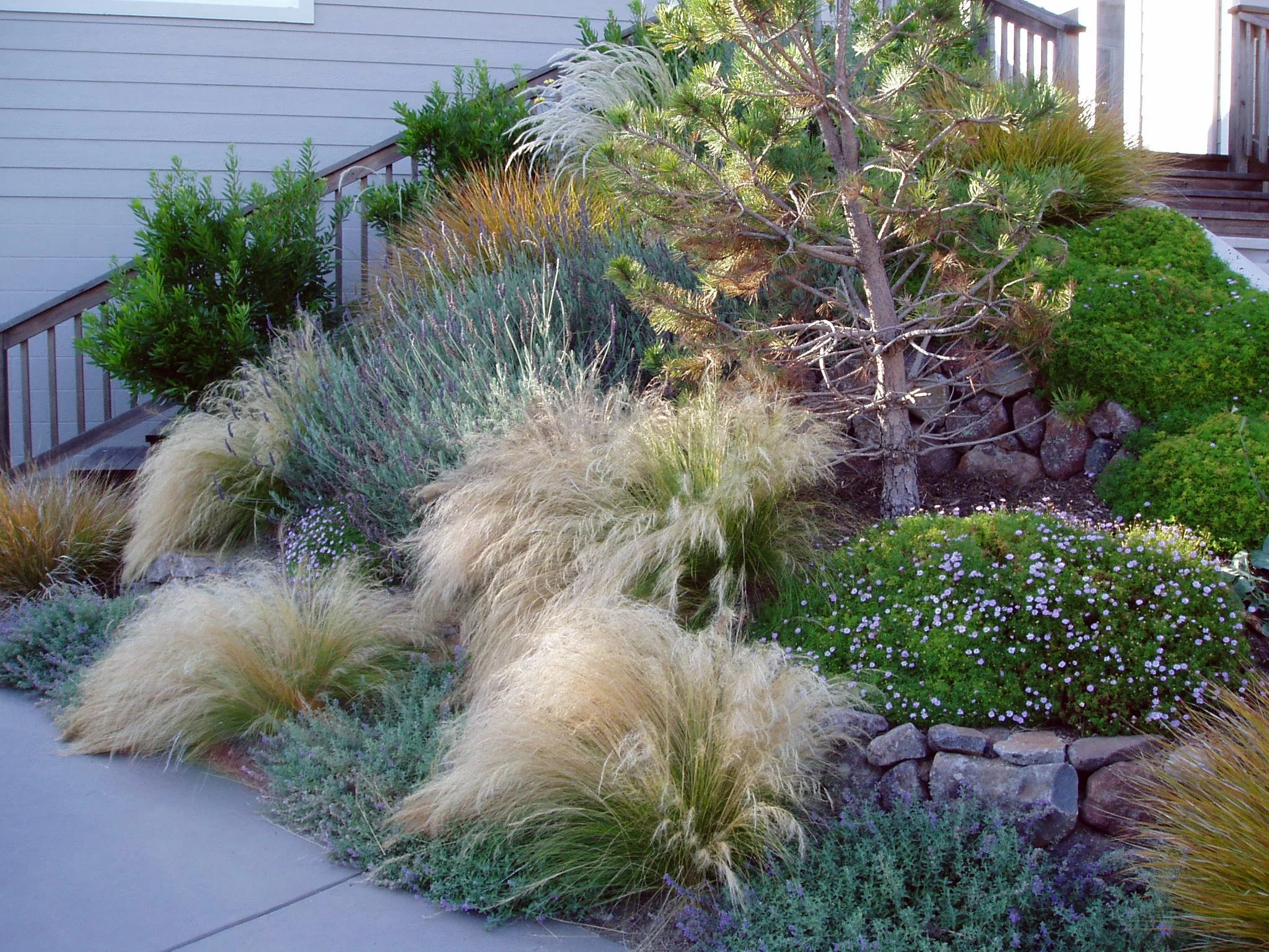 Revealing side hill.JPG